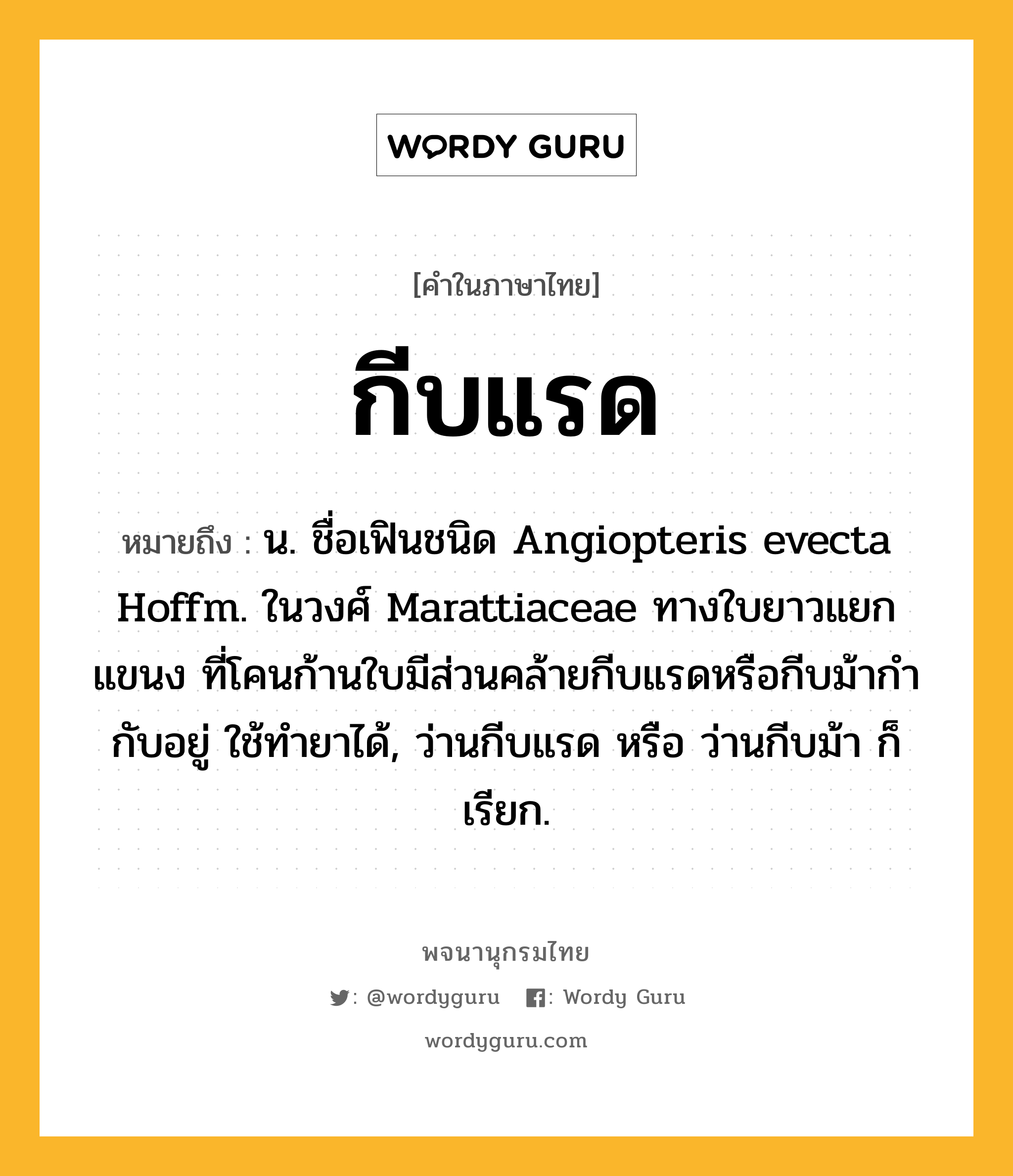 กีบแรด ความหมาย หมายถึงอะไร?, คำในภาษาไทย กีบแรด หมายถึง น. ชื่อเฟินชนิด Angiopteris evecta Hoffm. ในวงศ์ Marattiaceae ทางใบยาวแยกแขนง ที่โคนก้านใบมีส่วนคล้ายกีบแรดหรือกีบม้ากํากับอยู่ ใช้ทํายาได้, ว่านกีบแรด หรือ ว่านกีบม้า ก็เรียก.