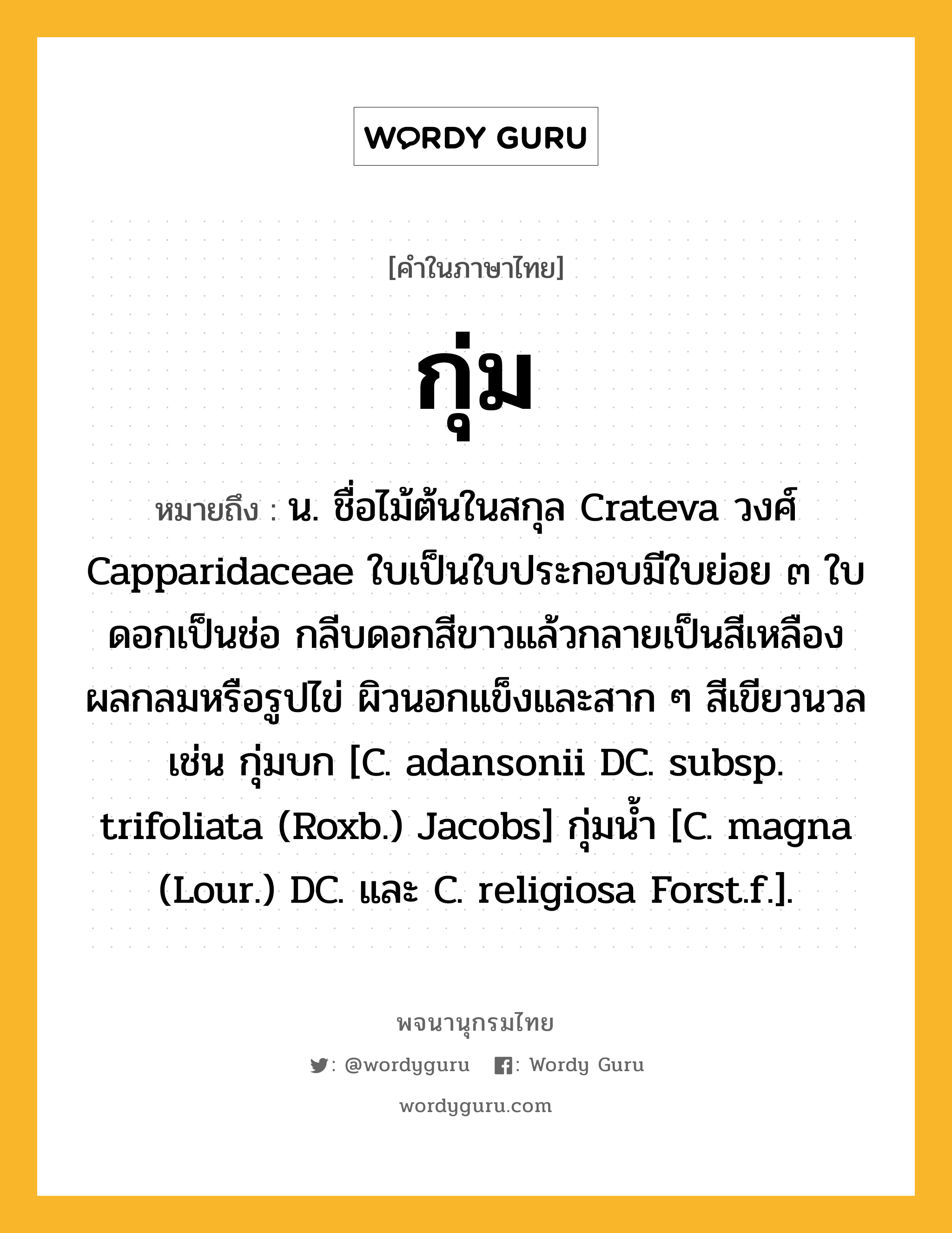 กุ่ม หมายถึงอะไร?, คำในภาษาไทย กุ่ม หมายถึง น. ชื่อไม้ต้นในสกุล Crateva วงศ์ Capparidaceae ใบเป็นใบประกอบมีใบย่อย ๓ ใบ ดอกเป็นช่อ กลีบดอกสีขาวแล้วกลายเป็นสีเหลือง ผลกลมหรือรูปไข่ ผิวนอกแข็งและสาก ๆ สีเขียวนวล เช่น กุ่มบก [C. adansonii DC. subsp. trifoliata (Roxb.) Jacobs] กุ่มนํ้า [C. magna (Lour.) DC. และ C. religiosa Forst.f.].