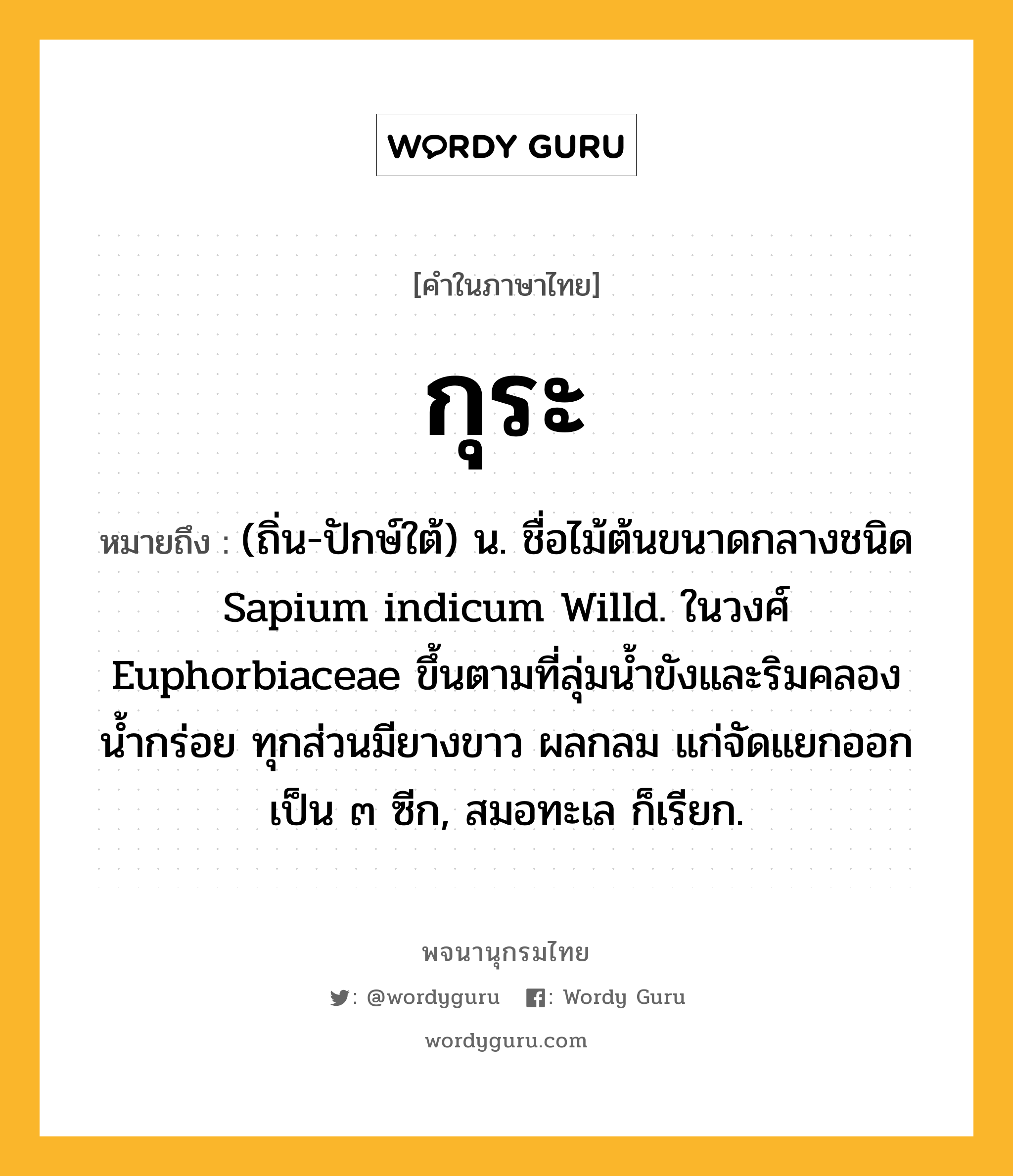 กุระ หมายถึงอะไร?, คำในภาษาไทย กุระ หมายถึง (ถิ่น-ปักษ์ใต้) น. ชื่อไม้ต้นขนาดกลางชนิด Sapium indicum Willd. ในวงศ์ Euphorbiaceae ขึ้นตามที่ลุ่มนํ้าขังและริมคลองนํ้ากร่อย ทุกส่วนมียางขาว ผลกลม แก่จัดแยกออกเป็น ๓ ซีก, สมอทะเล ก็เรียก.