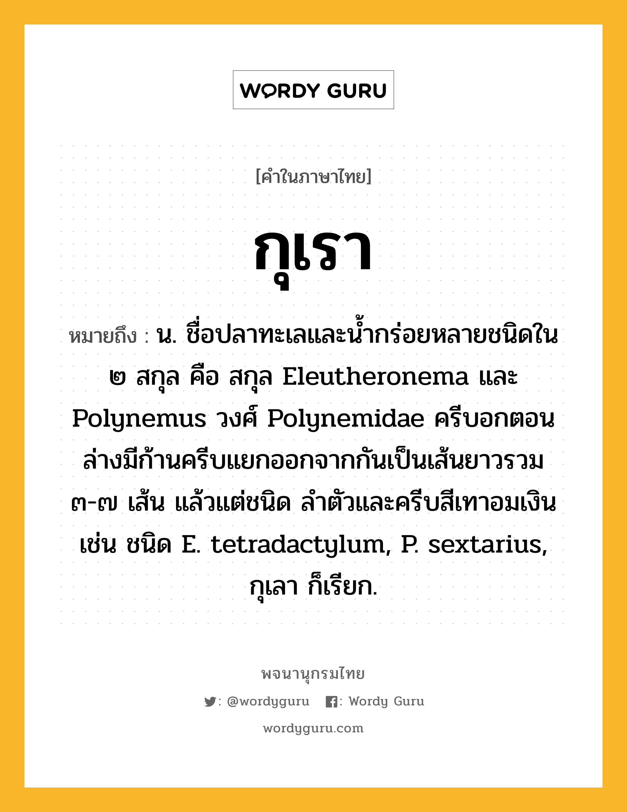 กุเรา หมายถึงอะไร?, คำในภาษาไทย กุเรา หมายถึง น. ชื่อปลาทะเลและนํ้ากร่อยหลายชนิดใน ๒ สกุล คือ สกุล Eleutheronema และ Polynemus วงศ์ Polynemidae ครีบอกตอนล่างมีก้านครีบแยกออกจากกันเป็นเส้นยาวรวม ๓-๗ เส้น แล้วแต่ชนิด ลําตัวและครีบสีเทาอมเงิน เช่น ชนิด E. tetradactylum, P. sextarius, กุเลา ก็เรียก.