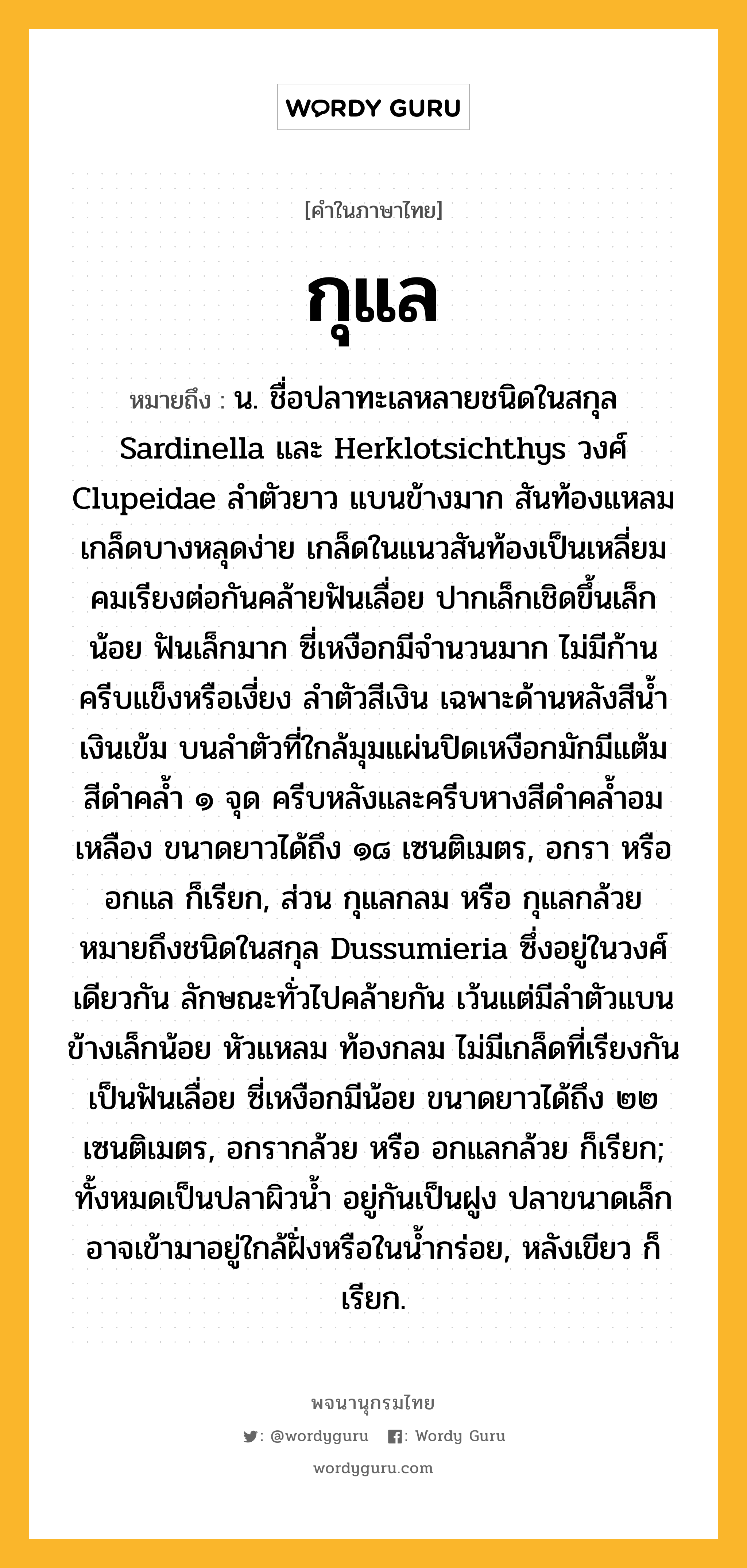 กุแล หมายถึงอะไร?, คำในภาษาไทย กุแล หมายถึง น. ชื่อปลาทะเลหลายชนิดในสกุล Sardinella และ Herklotsichthys วงศ์ Clupeidae ลําตัวยาว แบนข้างมาก สันท้องแหลม เกล็ดบางหลุดง่าย เกล็ดในแนวสันท้องเป็นเหลี่ยมคมเรียงต่อกันคล้ายฟันเลื่อย ปากเล็กเชิดขึ้นเล็กน้อย ฟันเล็กมาก ซี่เหงือกมีจํานวนมาก ไม่มีก้านครีบแข็งหรือเงี่ยง ลําตัวสีเงิน เฉพาะด้านหลังสีนํ้าเงินเข้ม บนลําตัวที่ใกล้มุมแผ่นปิดเหงือกมักมีแต้มสีดําคลํ้า ๑ จุด ครีบหลังและครีบหางสีดําคลํ้าอมเหลือง ขนาดยาวได้ถึง ๑๘ เซนติเมตร, อกรา หรือ อกแล ก็เรียก, ส่วน กุแลกลม หรือ กุแลกล้วย หมายถึงชนิดในสกุล Dussumieria ซึ่งอยู่ในวงศ์เดียวกัน ลักษณะทั่วไปคล้ายกัน เว้นแต่มีลําตัวแบนข้างเล็กน้อย หัวแหลม ท้องกลม ไม่มีเกล็ดที่เรียงกันเป็นฟันเลื่อย ซี่เหงือกมีน้อย ขนาดยาวได้ถึง ๒๒ เซนติเมตร, อกรากล้วย หรือ อกแลกล้วย ก็เรียก; ทั้งหมดเป็นปลาผิวนํ้า อยู่กันเป็นฝูง ปลาขนาดเล็กอาจเข้ามาอยู่ใกล้ฝั่งหรือในนํ้ากร่อย, หลังเขียว ก็เรียก.