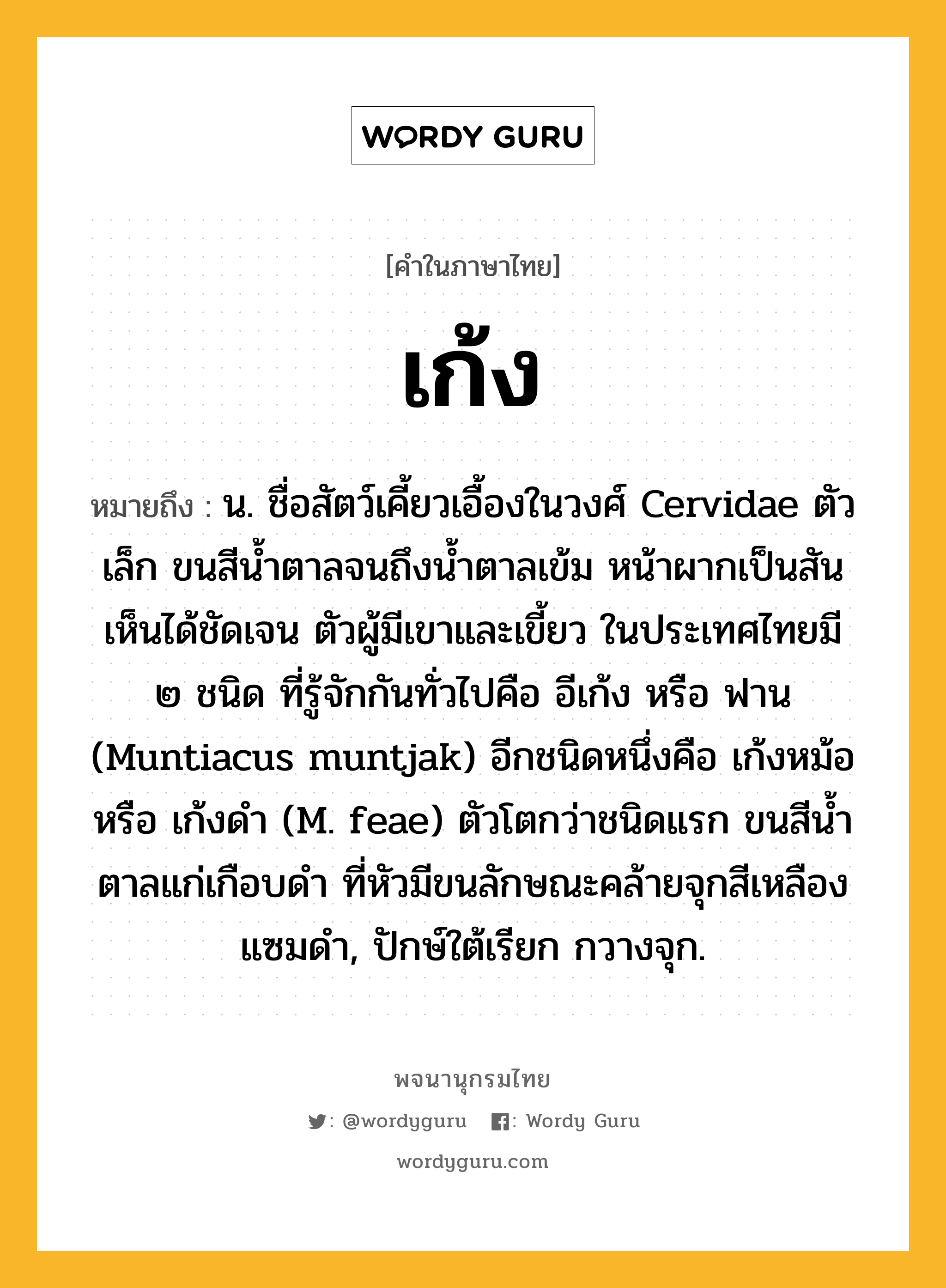 เก้ง หมายถึงอะไร?, คำในภาษาไทย เก้ง หมายถึง น. ชื่อสัตว์เคี้ยวเอื้องในวงศ์ Cervidae ตัวเล็ก ขนสีนํ้าตาลจนถึงนํ้าตาลเข้ม หน้าผากเป็นสันเห็นได้ชัดเจน ตัวผู้มีเขาและเขี้ยว ในประเทศไทยมี ๒ ชนิด ที่รู้จักกันทั่วไปคือ อีเก้ง หรือ ฟาน (Muntiacus muntjak) อีกชนิดหนึ่งคือ เก้งหม้อ หรือ เก้งดํา (M. feae) ตัวโตกว่าชนิดแรก ขนสีนํ้าตาลแก่เกือบดํา ที่หัวมีขนลักษณะคล้ายจุกสีเหลืองแซมดํา, ปักษ์ใต้เรียก กวางจุก.