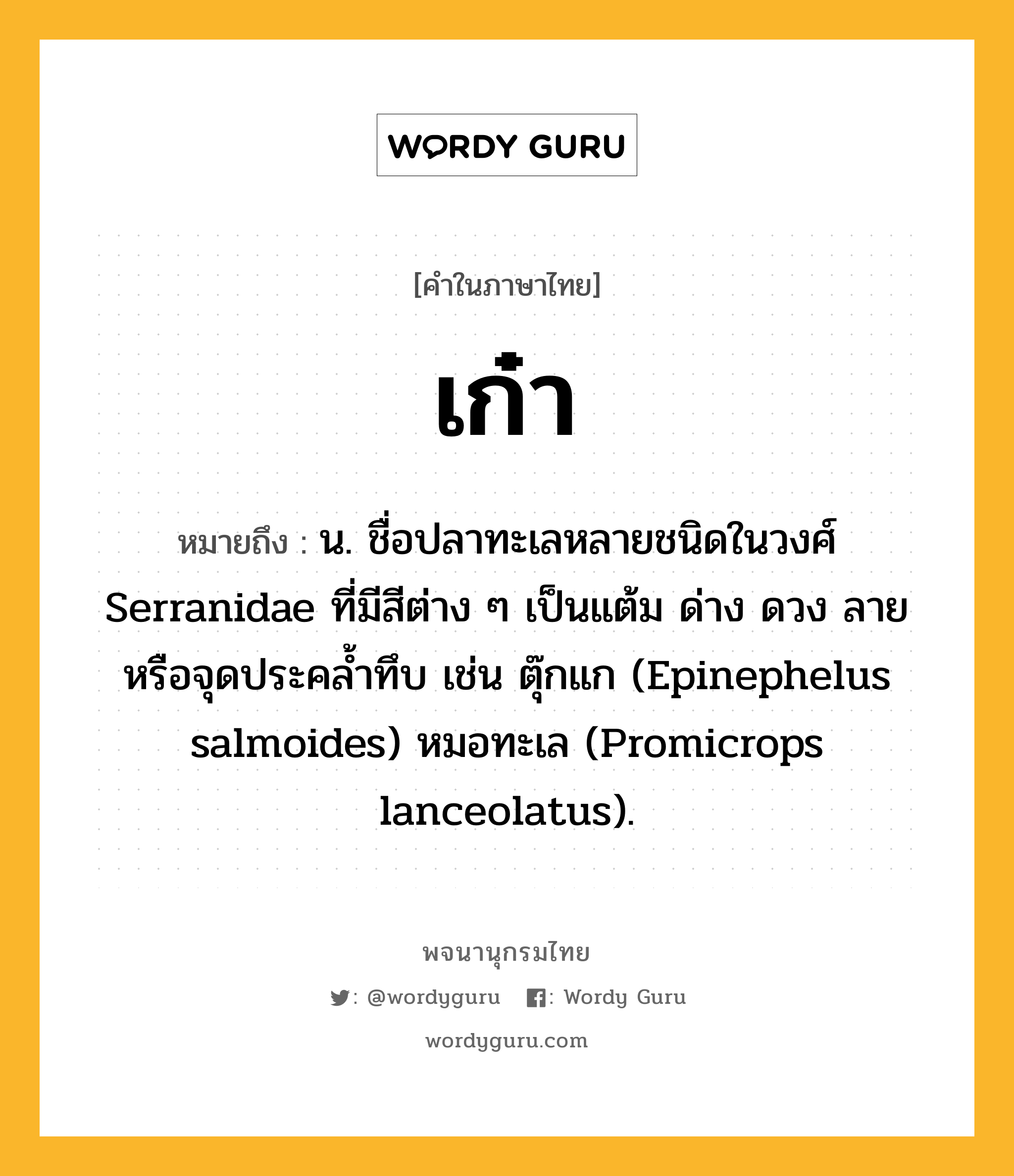 เก๋า ความหมาย หมายถึงอะไร?, คำในภาษาไทย เก๋า หมายถึง น. ชื่อปลาทะเลหลายชนิดในวงศ์ Serranidae ที่มีสีต่าง ๆ เป็นแต้ม ด่าง ดวง ลาย หรือจุดประคลํ้าทึบ เช่น ตุ๊กแก (Epinephelus salmoides) หมอทะเล (Promicrops lanceolatus).