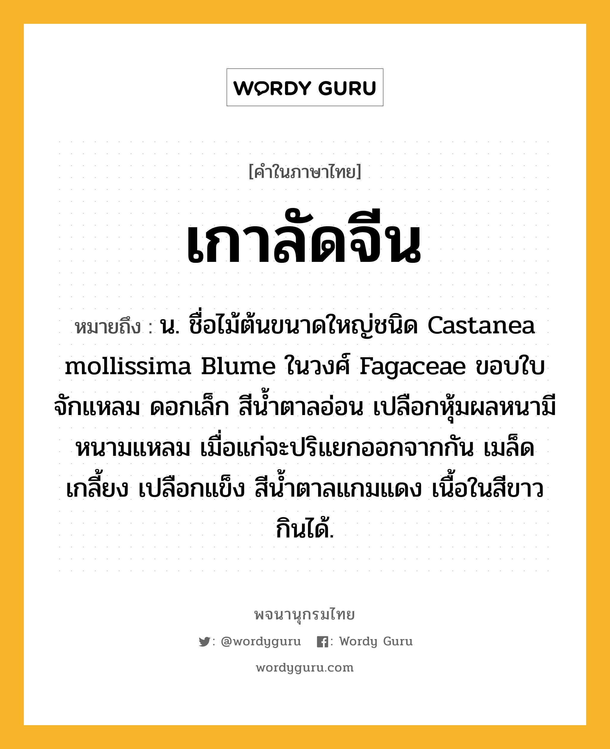 เกาลัดจีน หมายถึงอะไร?, คำในภาษาไทย เกาลัดจีน หมายถึง น. ชื่อไม้ต้นขนาดใหญ่ชนิด Castanea mollissima Blume ในวงศ์ Fagaceae ขอบใบจักแหลม ดอกเล็ก สีน้ำตาลอ่อน เปลือกหุ้มผลหนามีหนามแหลม เมื่อแก่จะปริแยกออกจากกัน เมล็ดเกลี้ยง เปลือกแข็ง สีนํ้าตาลแกมแดง เนื้อในสีขาว กินได้.