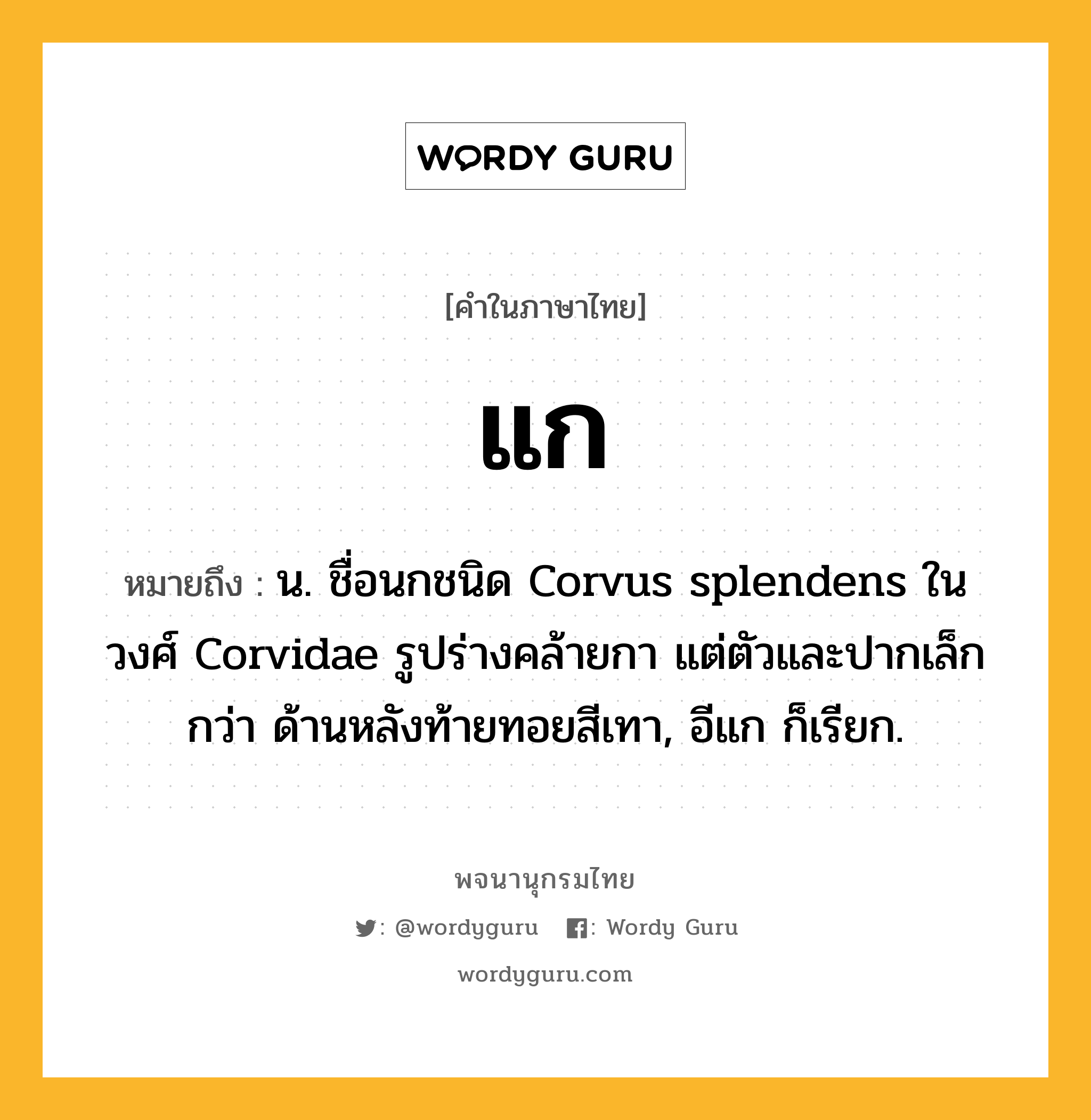 แก หมายถึงอะไร?, คำในภาษาไทย แก หมายถึง น. ชื่อนกชนิด Corvus splendens ในวงศ์ Corvidae รูปร่างคล้ายกา แต่ตัวและปากเล็กกว่า ด้านหลังท้ายทอยสีเทา, อีแก ก็เรียก.