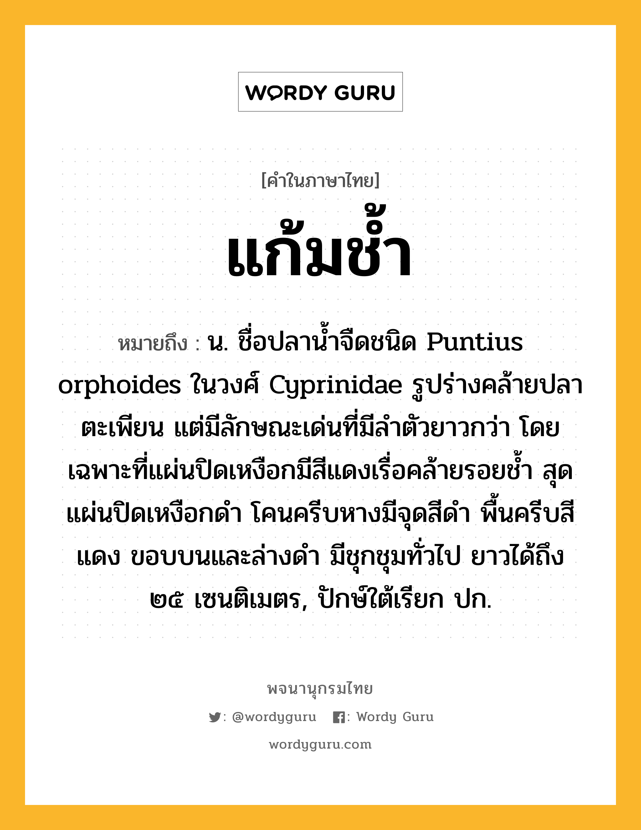 แก้มช้ำ หมายถึงอะไร?, คำในภาษาไทย แก้มช้ำ หมายถึง น. ชื่อปลานํ้าจืดชนิด Puntius orphoides ในวงศ์ Cyprinidae รูปร่างคล้ายปลาตะเพียน แต่มีลักษณะเด่นที่มีลําตัวยาวกว่า โดยเฉพาะที่แผ่นปิดเหงือกมีสีแดงเรื่อคล้ายรอยชํ้า สุดแผ่นปิดเหงือกดํา โคนครีบหางมีจุดสีดํา พื้นครีบสีแดง ขอบบนและล่างดํา มีชุกชุมทั่วไป ยาวได้ถึง ๒๕ เซนติเมตร, ปักษ์ใต้เรียก ปก.