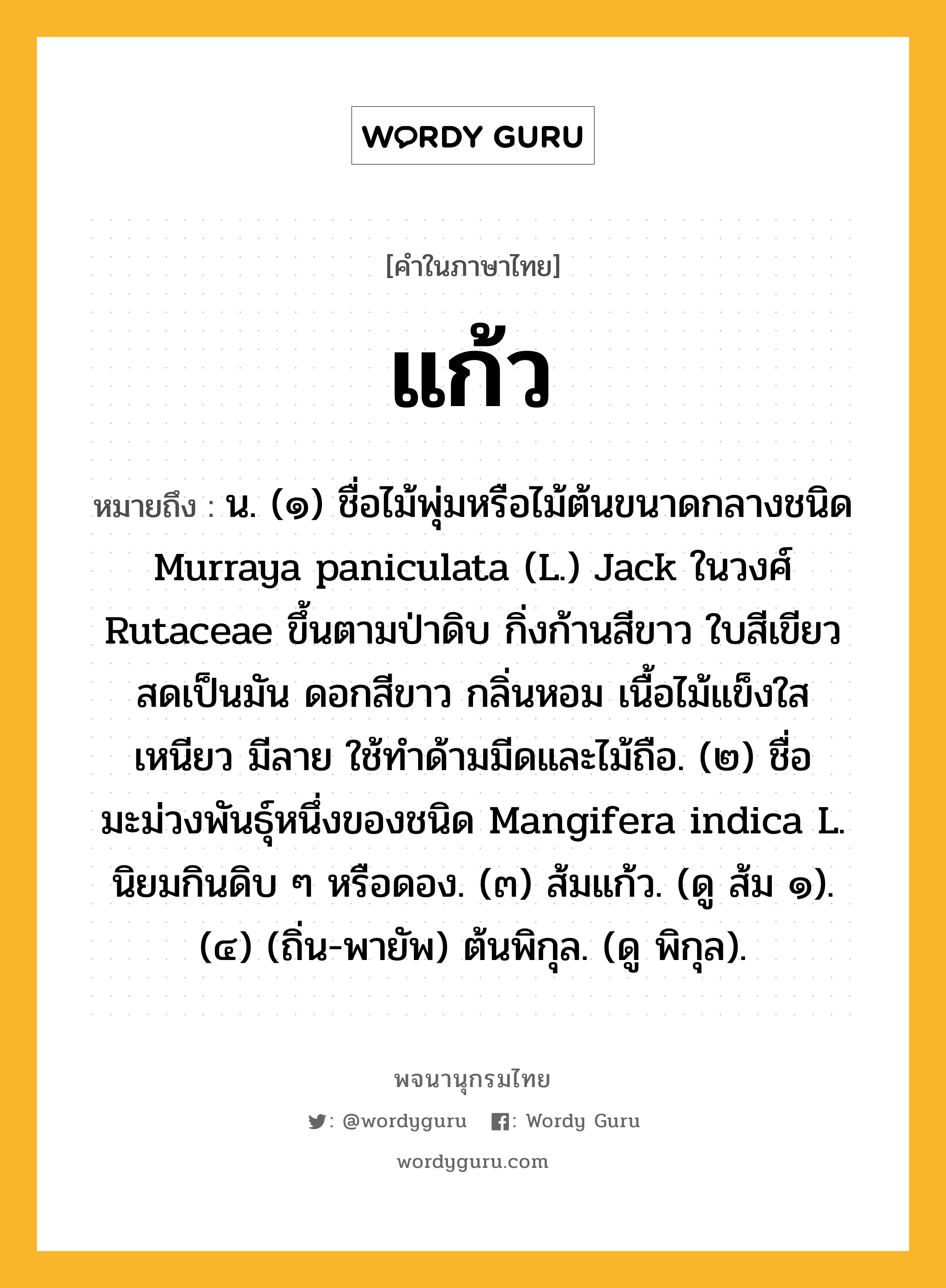 แก้ว หมายถึงอะไร?, คำในภาษาไทย แก้ว หมายถึง น. (๑) ชื่อไม้พุ่มหรือไม้ต้นขนาดกลางชนิด Murraya paniculata (L.) Jack ในวงศ์ Rutaceae ขึ้นตามป่าดิบ กิ่งก้านสีขาว ใบสีเขียวสดเป็นมัน ดอกสีขาว กลิ่นหอม เนื้อไม้แข็งใส เหนียว มีลาย ใช้ทําด้ามมีดและไม้ถือ. (๒) ชื่อมะม่วงพันธุ์หนึ่งของชนิด Mangifera indica L. นิยมกินดิบ ๆ หรือดอง. (๓) ส้มแก้ว. (ดู ส้ม ๑). (๔) (ถิ่น-พายัพ) ต้นพิกุล. (ดู พิกุล).