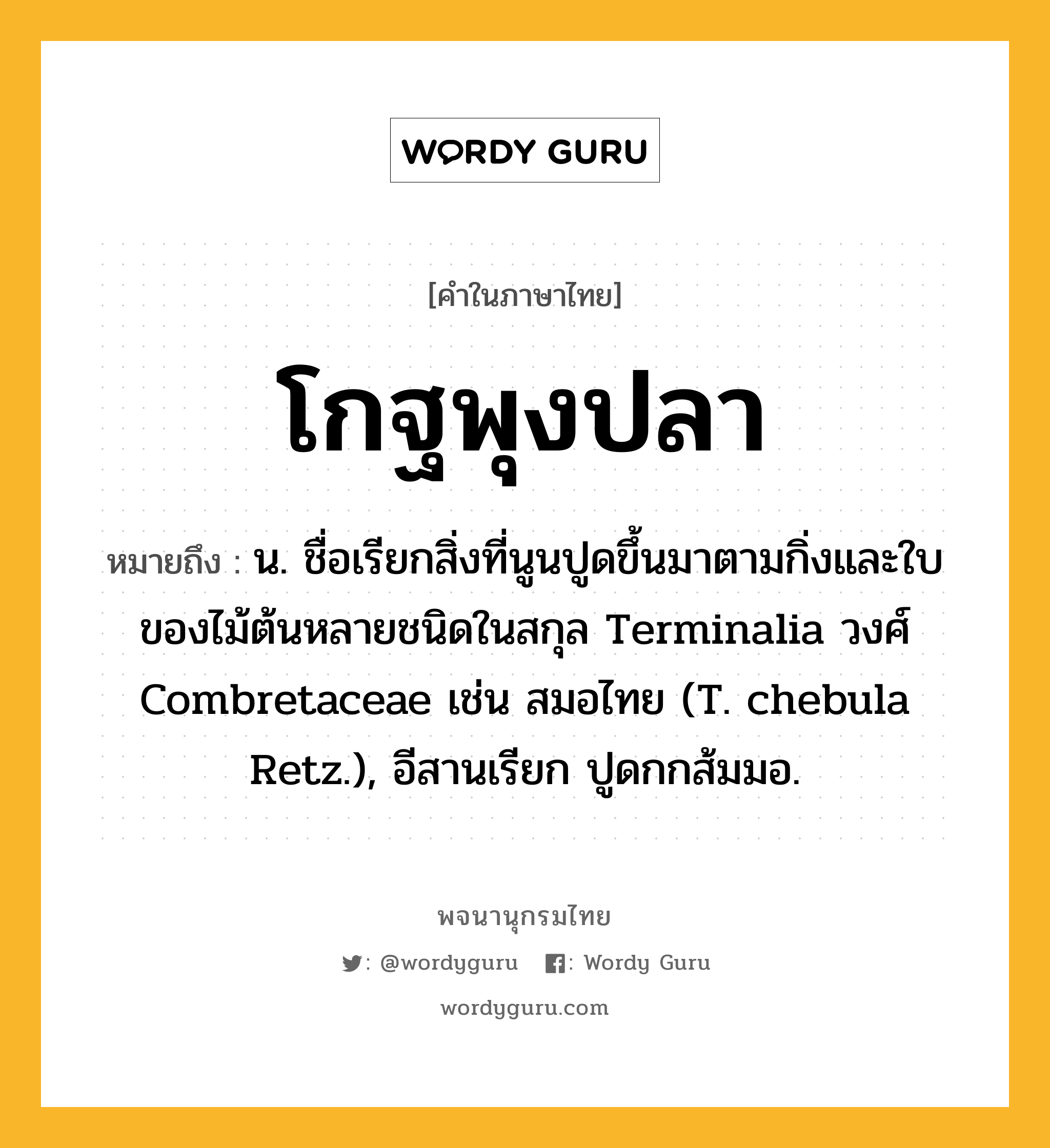 โกฐพุงปลา ความหมาย หมายถึงอะไร?, คำในภาษาไทย โกฐพุงปลา หมายถึง น. ชื่อเรียกสิ่งที่นูนปูดขึ้นมาตามกิ่งและใบของไม้ต้นหลายชนิดในสกุล Terminalia วงศ์ Combretaceae เช่น สมอไทย (T. chebula Retz.), อีสานเรียก ปูดกกส้มมอ.