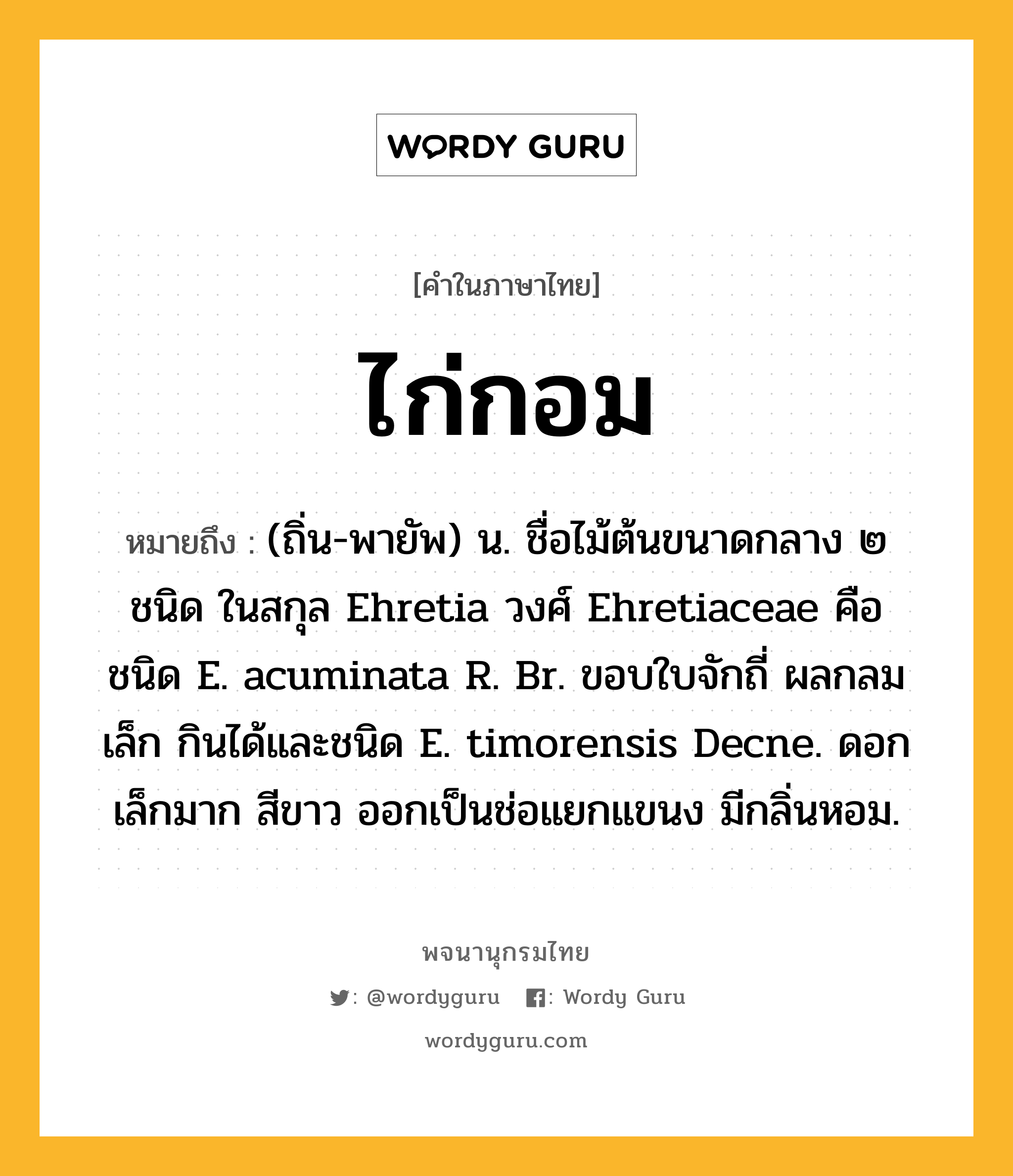 ไก่กอม หมายถึงอะไร?, คำในภาษาไทย ไก่กอม หมายถึง (ถิ่น-พายัพ) น. ชื่อไม้ต้นขนาดกลาง ๒ ชนิด ในสกุล Ehretia วงศ์ Ehretiaceae คือ ชนิด E. acuminata R. Br. ขอบใบจักถี่ ผลกลมเล็ก กินได้และชนิด E. timorensis Decne. ดอกเล็กมาก สีขาว ออกเป็นช่อแยกแขนง มีกลิ่นหอม.