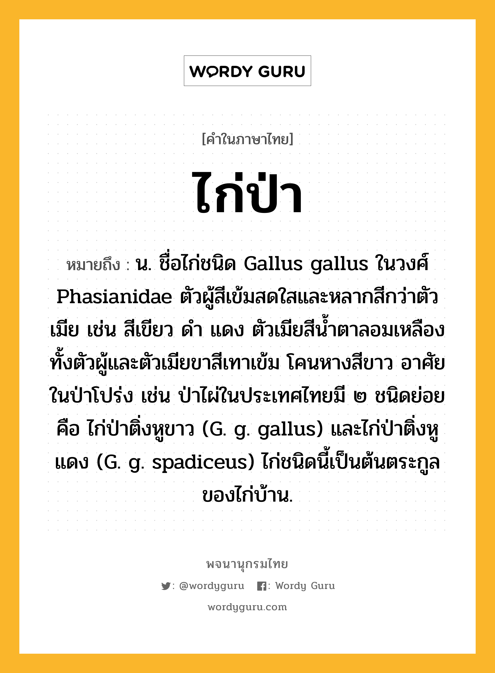 ไก่ป่า หมายถึงอะไร?, คำในภาษาไทย ไก่ป่า หมายถึง น. ชื่อไก่ชนิด Gallus gallus ในวงศ์ Phasianidae ตัวผู้สีเข้มสดใสและหลากสีกว่าตัวเมีย เช่น สีเขียว ดำ แดง ตัวเมียสีน้ำตาลอมเหลือง ทั้งตัวผู้และตัวเมียขาสีเทาเข้ม โคนหางสีขาว อาศัยในป่าโปร่ง เช่น ป่าไผ่ในประเทศไทยมี ๒ ชนิดย่อย คือ ไก่ป่าติ่งหูขาว (G. g. gallus) และไก่ป่าติ่งหูแดง (G. g. spadiceus) ไก่ชนิดนี้เป็นต้นตระกูลของไก่บ้าน.