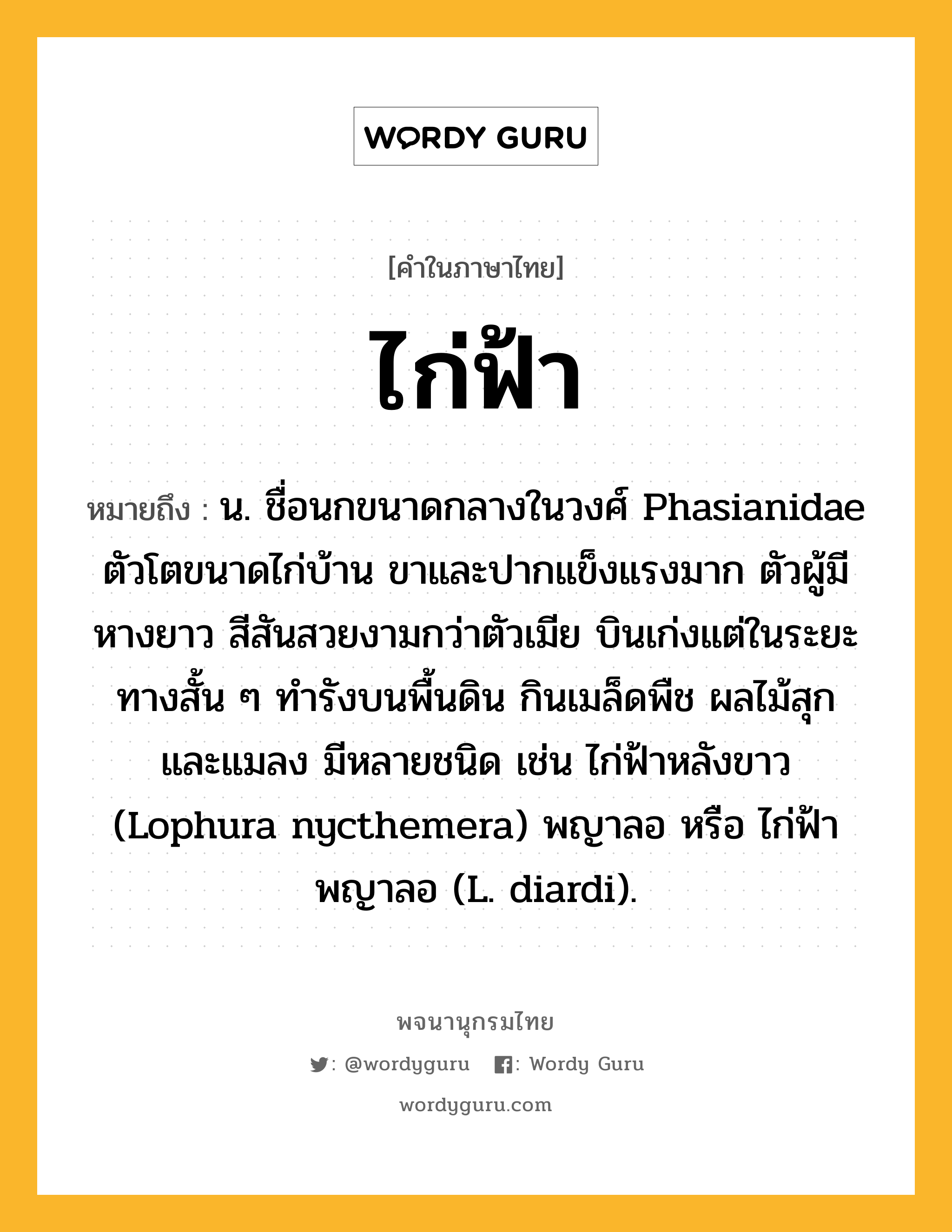 ไก่ฟ้า หมายถึงอะไร?, คำในภาษาไทย ไก่ฟ้า หมายถึง น. ชื่อนกขนาดกลางในวงศ์ Phasianidae ตัวโตขนาดไก่บ้าน ขาและปากแข็งแรงมาก ตัวผู้มีหางยาว สีสันสวยงามกว่าตัวเมีย บินเก่งแต่ในระยะทางสั้น ๆ ทํารังบนพื้นดิน กินเมล็ดพืช ผลไม้สุก และแมลง มีหลายชนิด เช่น ไก่ฟ้าหลังขาว (Lophura nycthemera) พญาลอ หรือ ไก่ฟ้าพญาลอ (L. diardi).