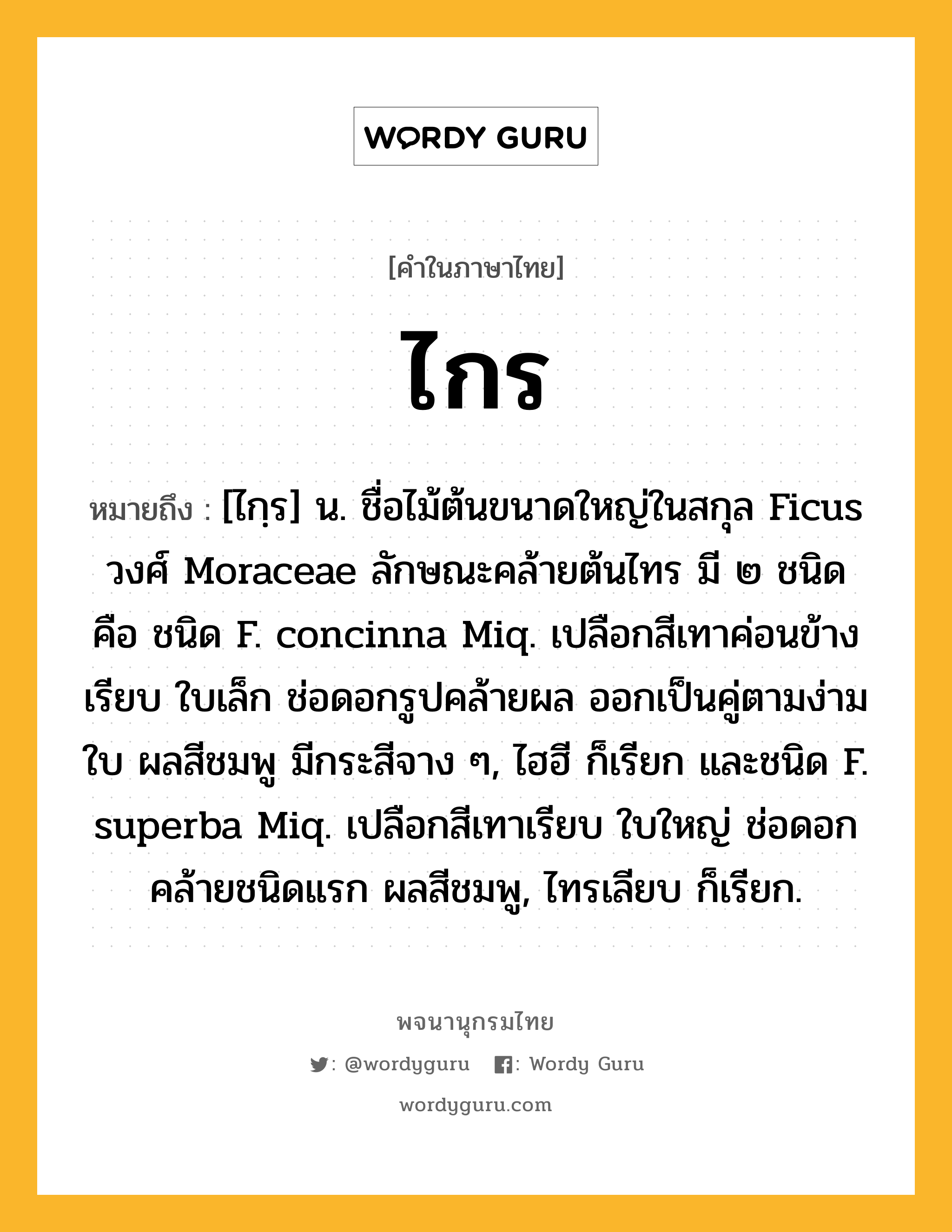 ไกร หมายถึงอะไร?, คำในภาษาไทย ไกร หมายถึง [ไกฺร] น. ชื่อไม้ต้นขนาดใหญ่ในสกุล Ficus วงศ์ Moraceae ลักษณะคล้ายต้นไทร มี ๒ ชนิด คือ ชนิด F. concinna Miq. เปลือกสีเทาค่อนข้างเรียบ ใบเล็ก ช่อดอกรูปคล้ายผล ออกเป็นคู่ตามง่ามใบ ผลสีชมพู มีกระสีจาง ๆ, ไฮฮี ก็เรียก และชนิด F. superba Miq. เปลือกสีเทาเรียบ ใบใหญ่ ช่อดอกคล้ายชนิดแรก ผลสีชมพู, ไทรเลียบ ก็เรียก.