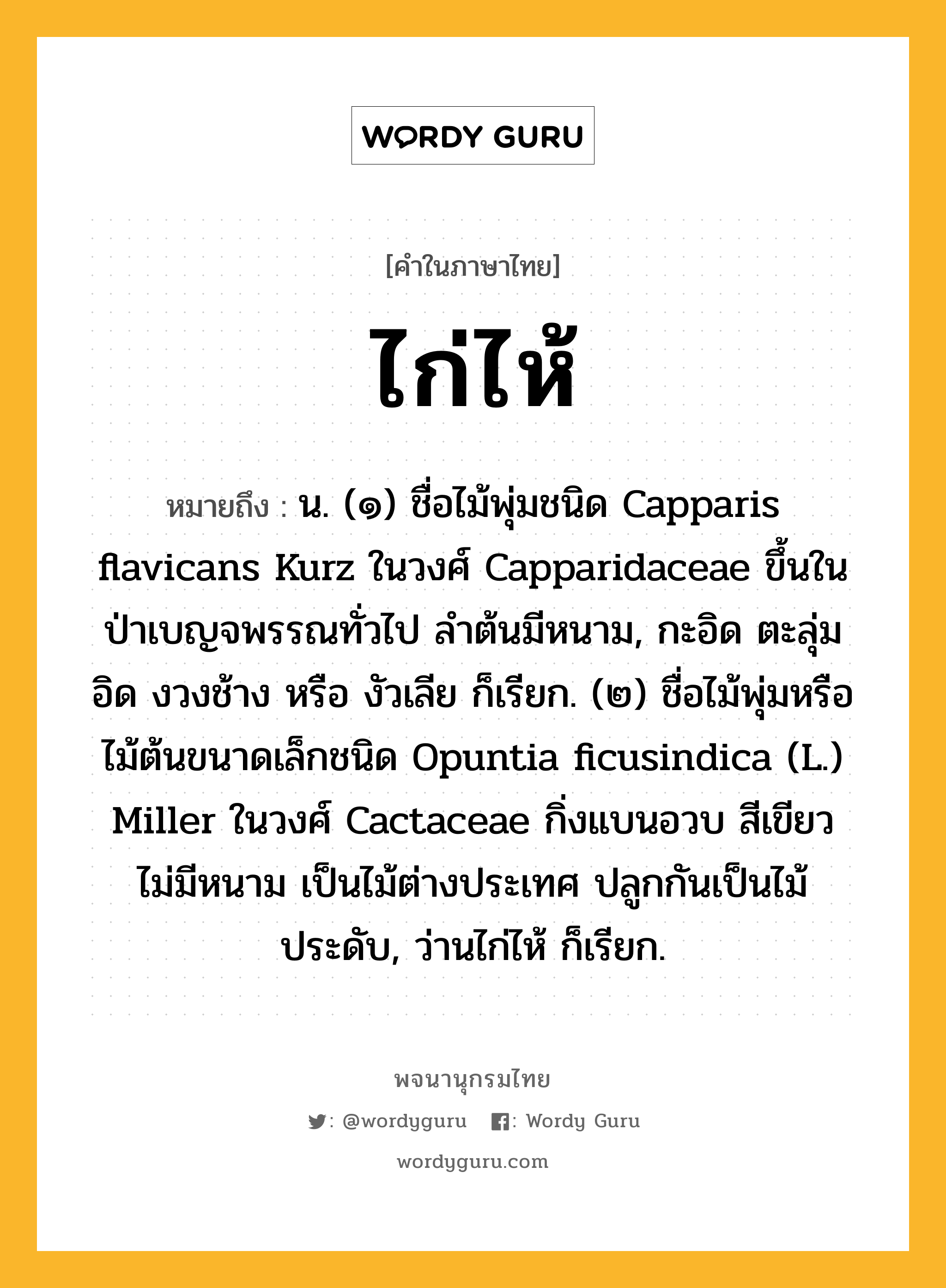 ไก่ไห้ หมายถึงอะไร?, คำในภาษาไทย ไก่ไห้ หมายถึง น. (๑) ชื่อไม้พุ่มชนิด Capparis flavicans Kurz ในวงศ์ Capparidaceae ขึ้นในป่าเบญจพรรณทั่วไป ลําต้นมีหนาม, กะอิด ตะลุ่มอิด งวงช้าง หรือ งัวเลีย ก็เรียก. (๒) ชื่อไม้พุ่มหรือไม้ต้นขนาดเล็กชนิด Opuntia ficusindica (L.) Miller ในวงศ์ Cactaceae กิ่งแบนอวบ สีเขียว ไม่มีหนาม เป็นไม้ต่างประเทศ ปลูกกันเป็นไม้ประดับ, ว่านไก่ไห้ ก็เรียก.