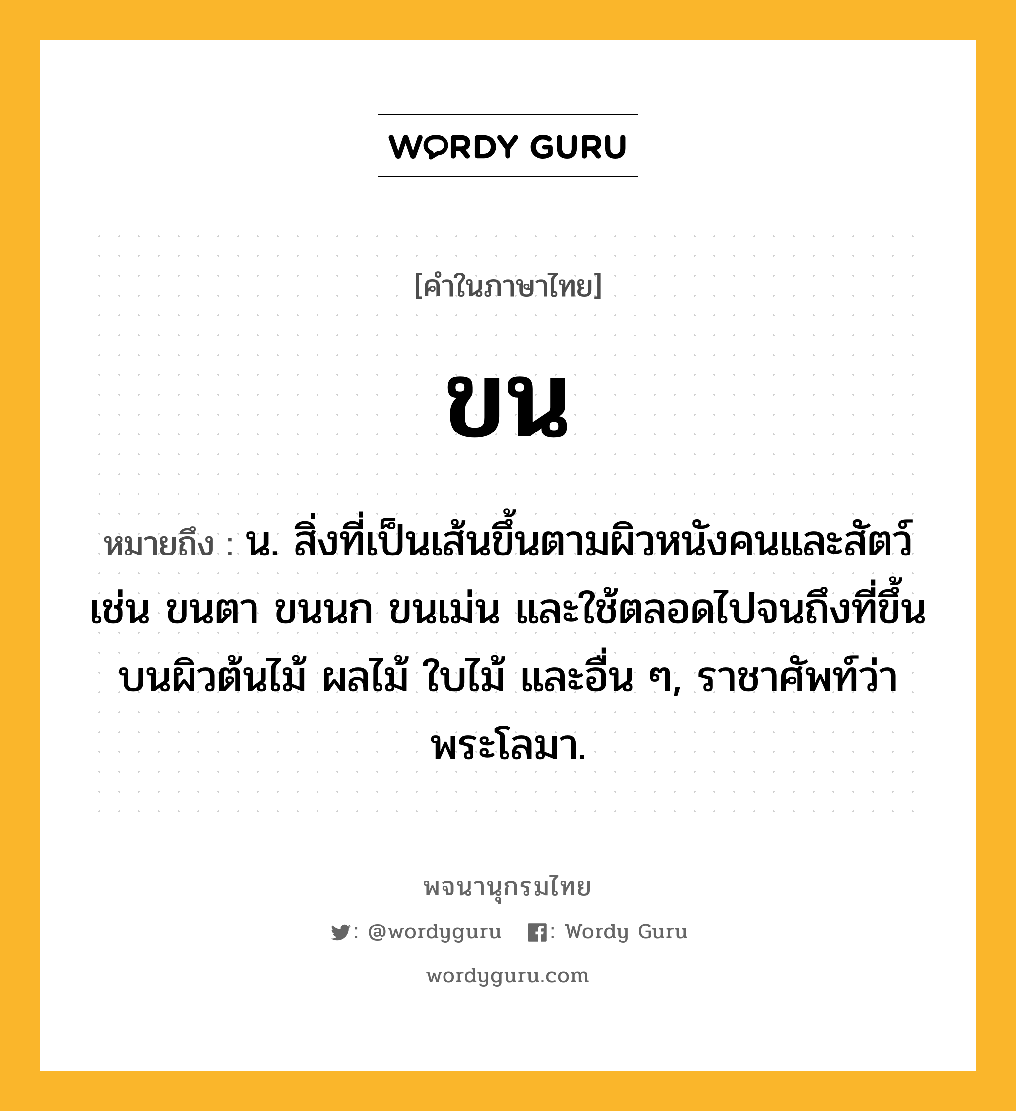 ขน หมายถึงอะไร?, คำในภาษาไทย ขน หมายถึง น. สิ่งที่เป็นเส้นขึ้นตามผิวหนังคนและสัตว์ เช่น ขนตา ขนนก ขนเม่น และใช้ตลอดไปจนถึงที่ขึ้นบนผิวต้นไม้ ผลไม้ ใบไม้ และอื่น ๆ, ราชาศัพท์ว่า พระโลมา.