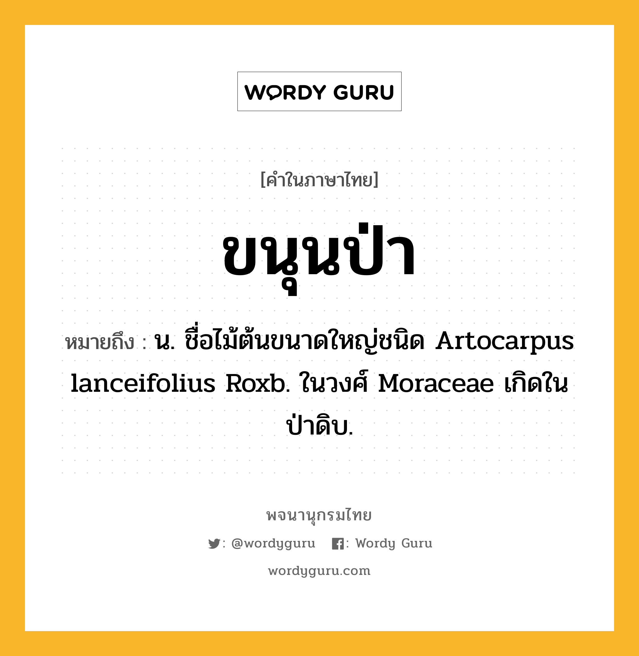 ขนุนป่า ความหมาย หมายถึงอะไร?, คำในภาษาไทย ขนุนป่า หมายถึง น. ชื่อไม้ต้นขนาดใหญ่ชนิด Artocarpus lanceifolius Roxb. ในวงศ์ Moraceae เกิดในป่าดิบ.