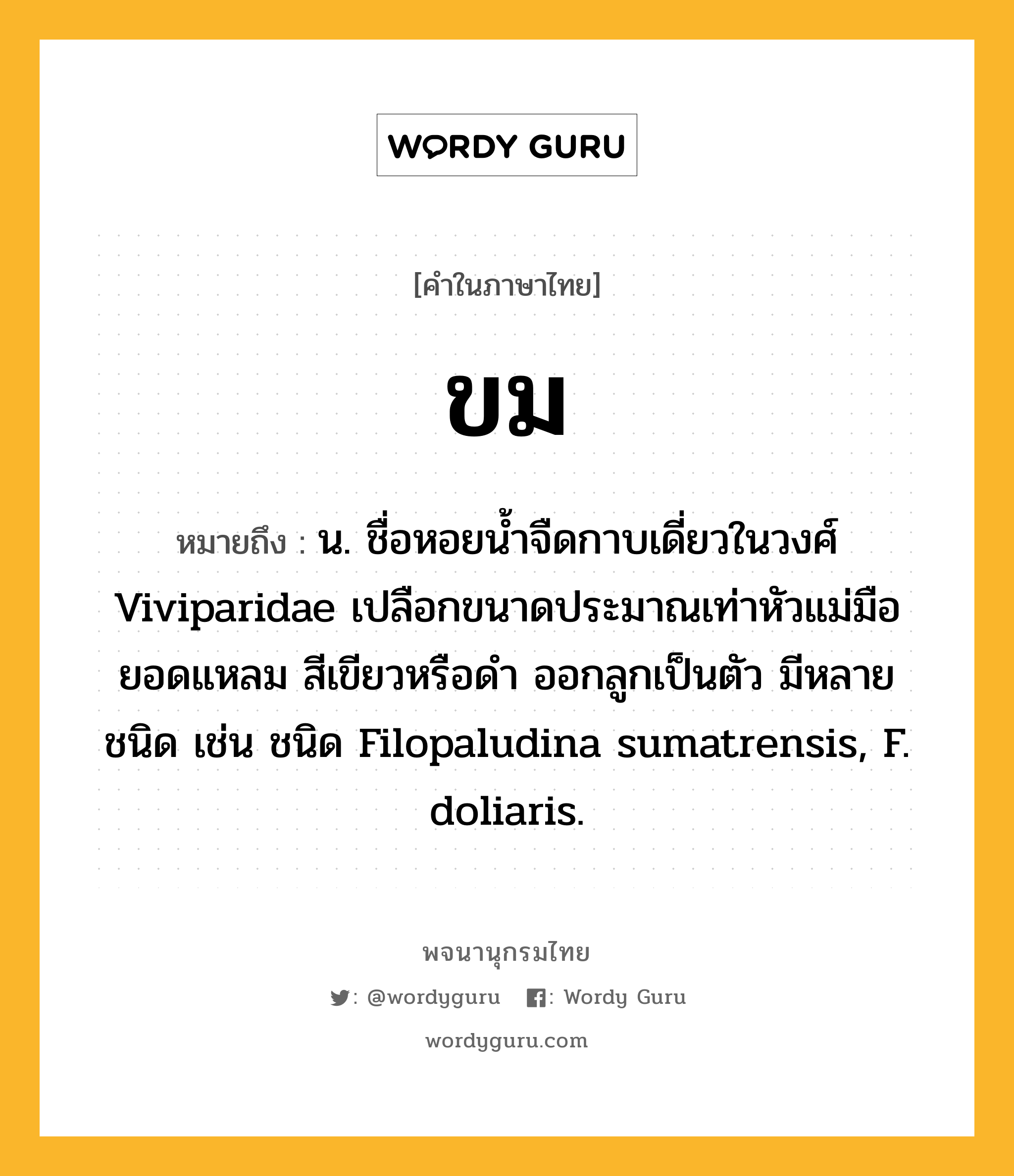 ขม หมายถึงอะไร?, คำในภาษาไทย ขม หมายถึง น. ชื่อหอยนํ้าจืดกาบเดี่ยวในวงศ์ Viviparidae เปลือกขนาดประมาณเท่าหัวแม่มือ ยอดแหลม สีเขียวหรือดํา ออกลูกเป็นตัว มีหลายชนิด เช่น ชนิด Filopaludina sumatrensis, F. doliaris.