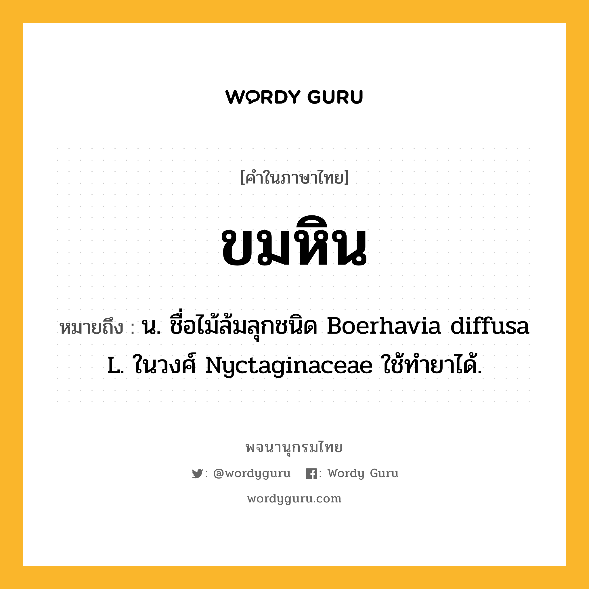 ขมหิน ความหมาย หมายถึงอะไร?, คำในภาษาไทย ขมหิน หมายถึง น. ชื่อไม้ล้มลุกชนิด Boerhavia diffusa L. ในวงศ์ Nyctaginaceae ใช้ทํายาได้.