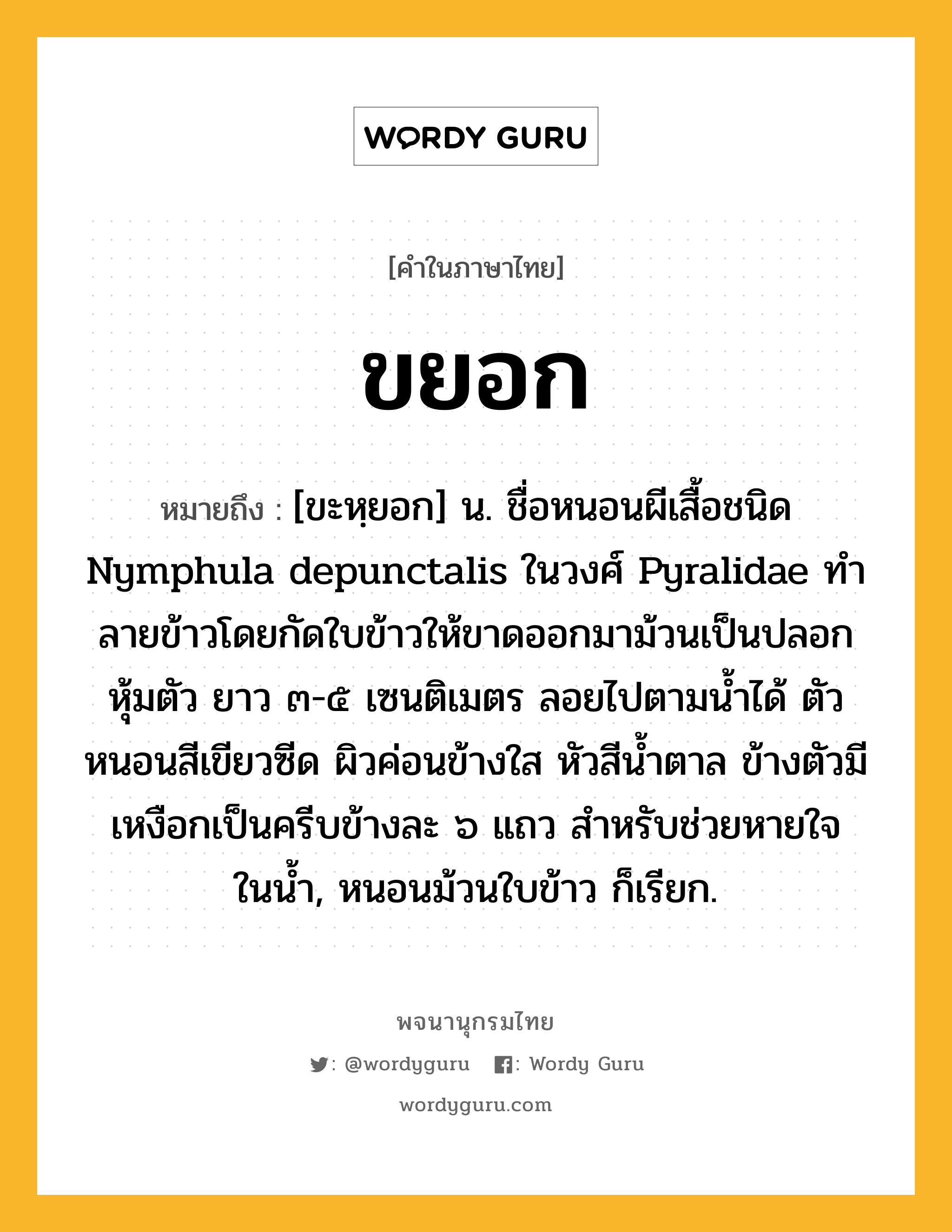 ขยอก หมายถึงอะไร?, คำในภาษาไทย ขยอก หมายถึง [ขะหฺยอก] น. ชื่อหนอนผีเสื้อชนิด Nymphula depunctalis ในวงศ์ Pyralidae ทําลายข้าวโดยกัดใบข้าวให้ขาดออกมาม้วนเป็นปลอกหุ้มตัว ยาว ๓-๕ เซนติเมตร ลอยไปตามนํ้าได้ ตัวหนอนสีเขียวซีด ผิวค่อนข้างใส หัวสีนํ้าตาล ข้างตัวมีเหงือกเป็นครีบข้างละ ๖ แถว สําหรับช่วยหายใจในนํ้า, หนอนม้วนใบข้าว ก็เรียก.