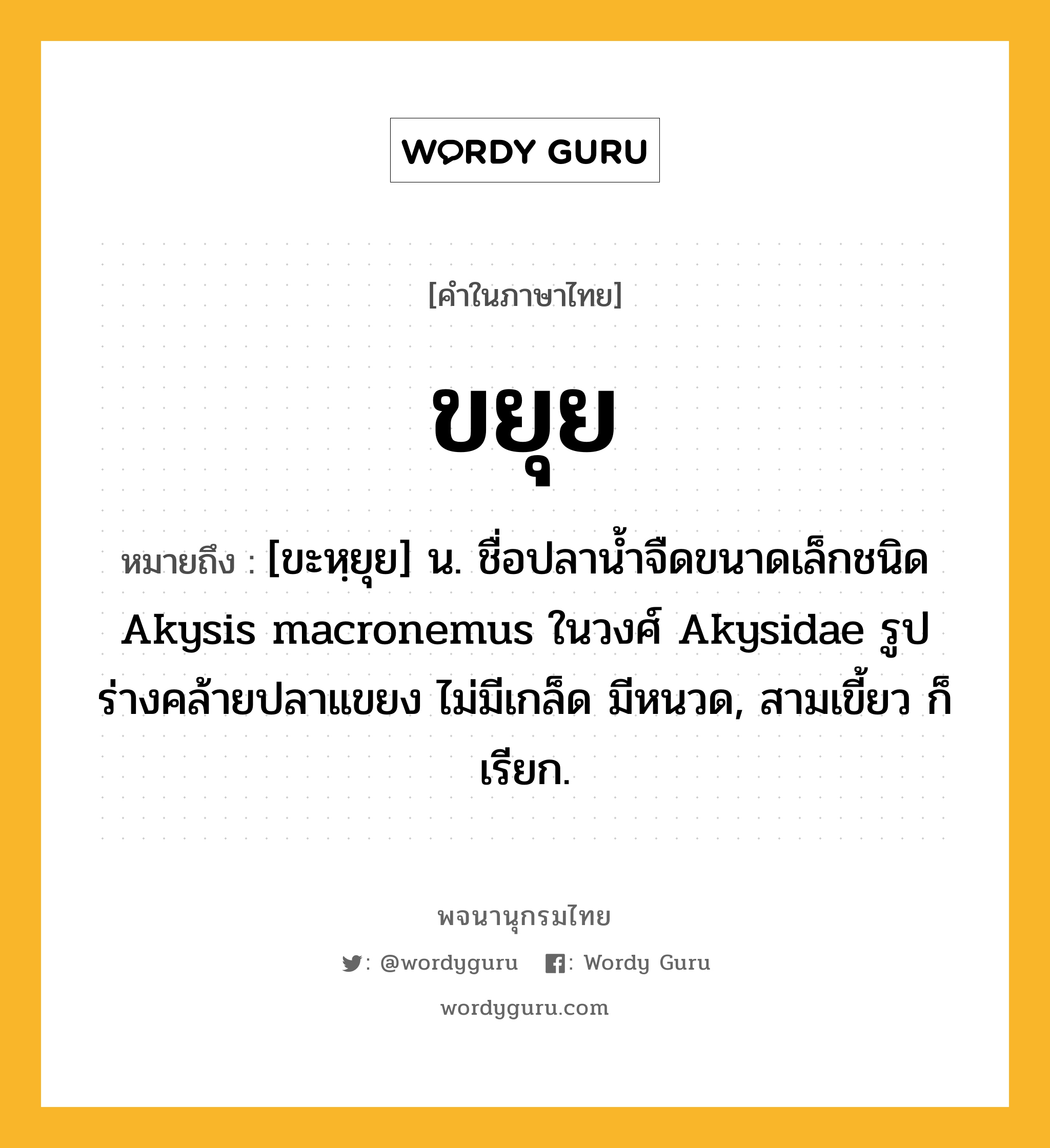 ขยุย ความหมาย หมายถึงอะไร?, คำในภาษาไทย ขยุย หมายถึง [ขะหฺยุย] น. ชื่อปลานํ้าจืดขนาดเล็กชนิด Akysis macronemus ในวงศ์ Akysidae รูปร่างคล้ายปลาแขยง ไม่มีเกล็ด มีหนวด, สามเขี้ยว ก็เรียก.