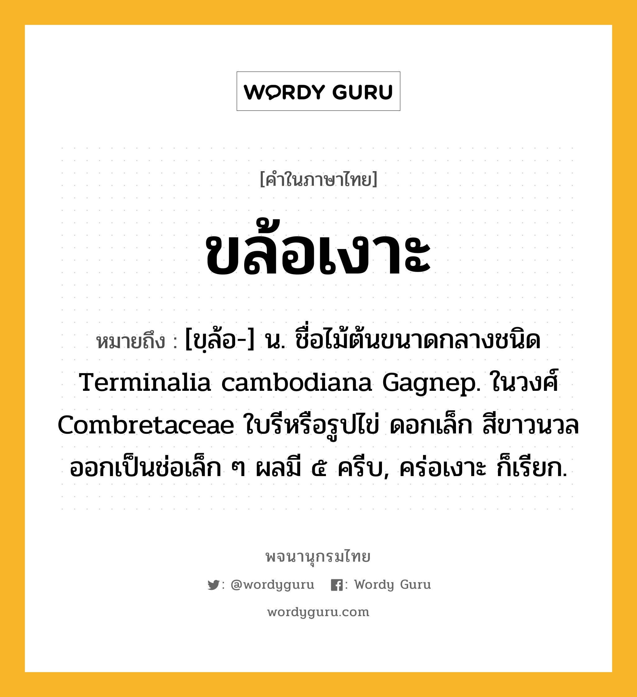 ขล้อเงาะ หมายถึงอะไร?, คำในภาษาไทย ขล้อเงาะ หมายถึง [ขฺล้อ-] น. ชื่อไม้ต้นขนาดกลางชนิด Terminalia cambodiana Gagnep. ในวงศ์ Combretaceae ใบรีหรือรูปไข่ ดอกเล็ก สีขาวนวล ออกเป็นช่อเล็ก ๆ ผลมี ๕ ครีบ, คร่อเงาะ ก็เรียก.