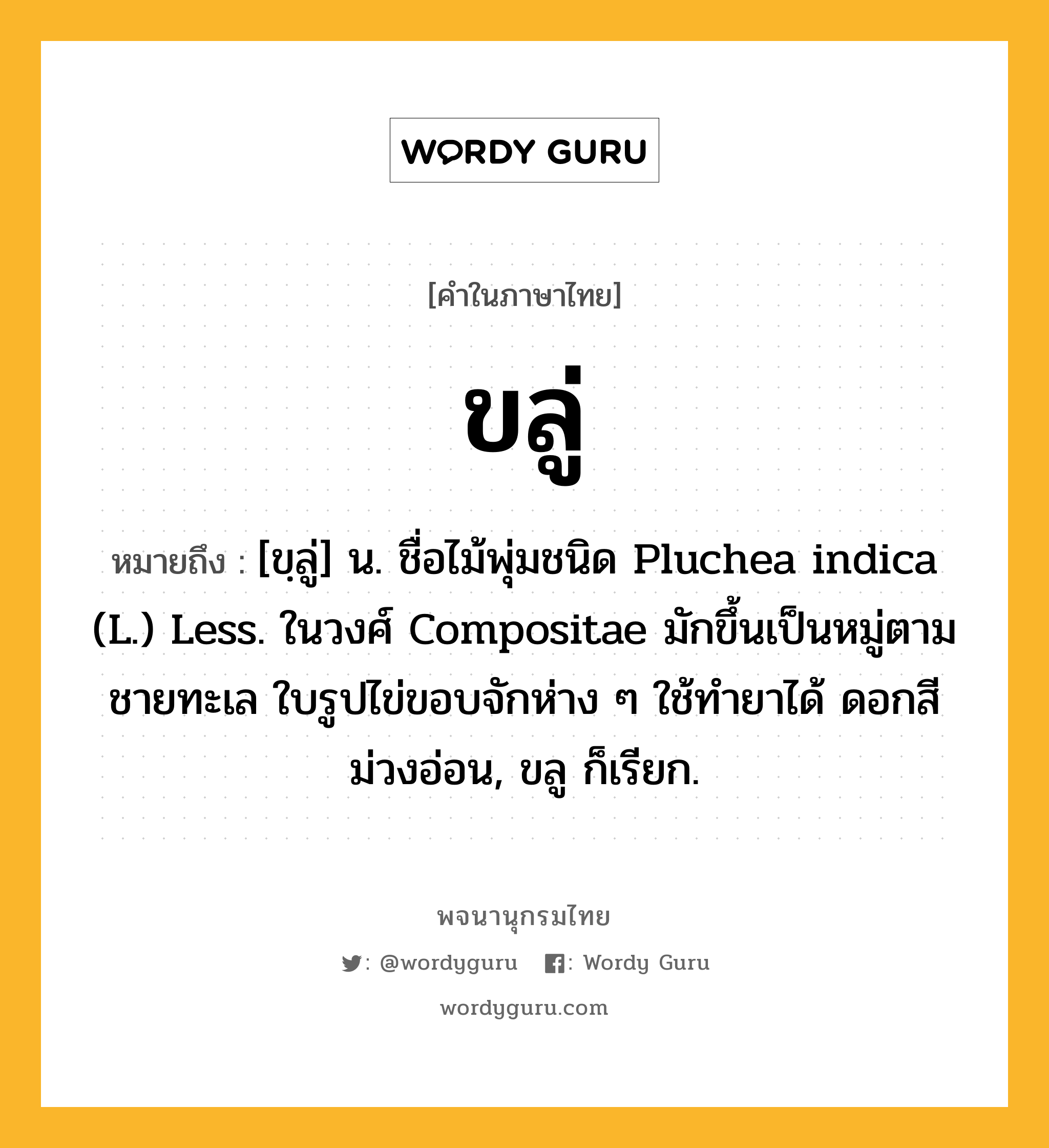 ขลู่ หมายถึงอะไร?, คำในภาษาไทย ขลู่ หมายถึง [ขฺลู่] น. ชื่อไม้พุ่มชนิด Pluchea indica (L.) Less. ในวงศ์ Compositae มักขึ้นเป็นหมู่ตามชายทะเล ใบรูปไข่ขอบจักห่าง ๆ ใช้ทํายาได้ ดอกสีม่วงอ่อน, ขลู ก็เรียก.