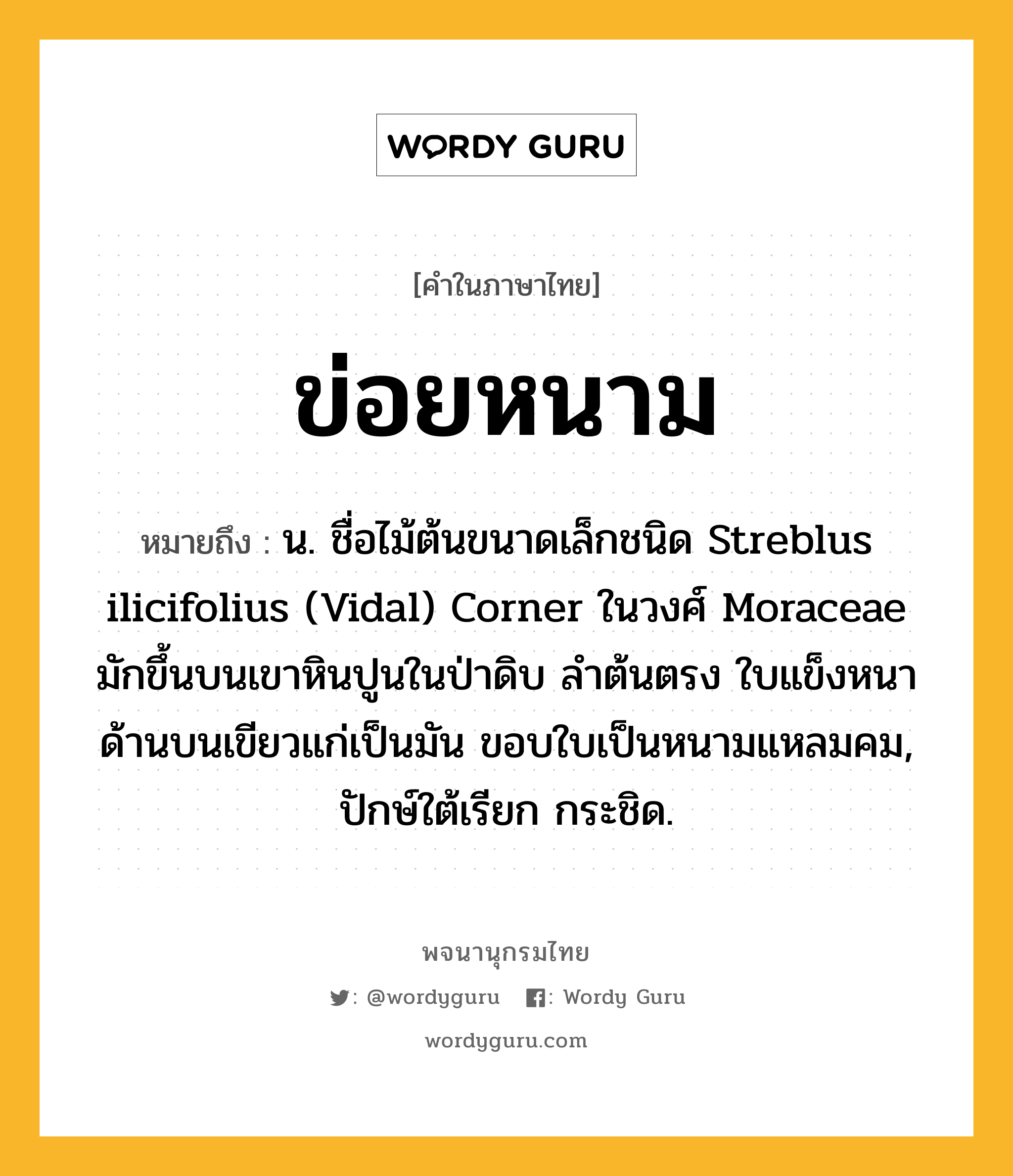 ข่อยหนาม หมายถึงอะไร?, คำในภาษาไทย ข่อยหนาม หมายถึง น. ชื่อไม้ต้นขนาดเล็กชนิด Streblus ilicifolius (Vidal) Corner ในวงศ์ Moraceae มักขึ้นบนเขาหินปูนในป่าดิบ ลําต้นตรง ใบแข็งหนา ด้านบนเขียวแก่เป็นมัน ขอบใบเป็นหนามแหลมคม, ปักษ์ใต้เรียก กระชิด.