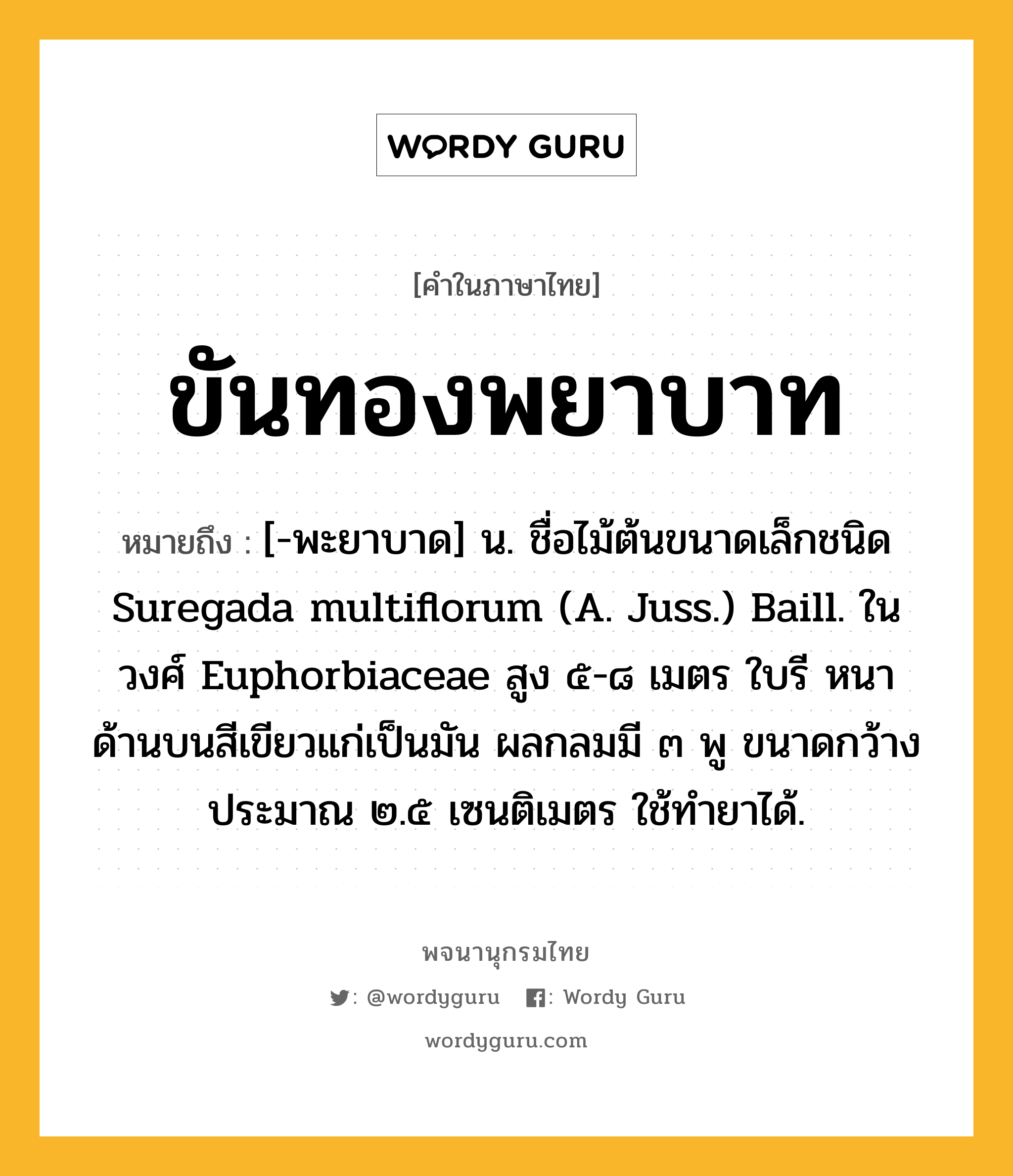 ขันทองพยาบาท หมายถึงอะไร?, คำในภาษาไทย ขันทองพยาบาท หมายถึง [-พะยาบาด] น. ชื่อไม้ต้นขนาดเล็กชนิด Suregada multiflorum (A. Juss.) Baill. ในวงศ์ Euphorbiaceae สูง ๕-๘ เมตร ใบรี หนา ด้านบนสีเขียวแก่เป็นมัน ผลกลมมี ๓ พู ขนาดกว้างประมาณ ๒.๕ เซนติเมตร ใช้ทํายาได้.