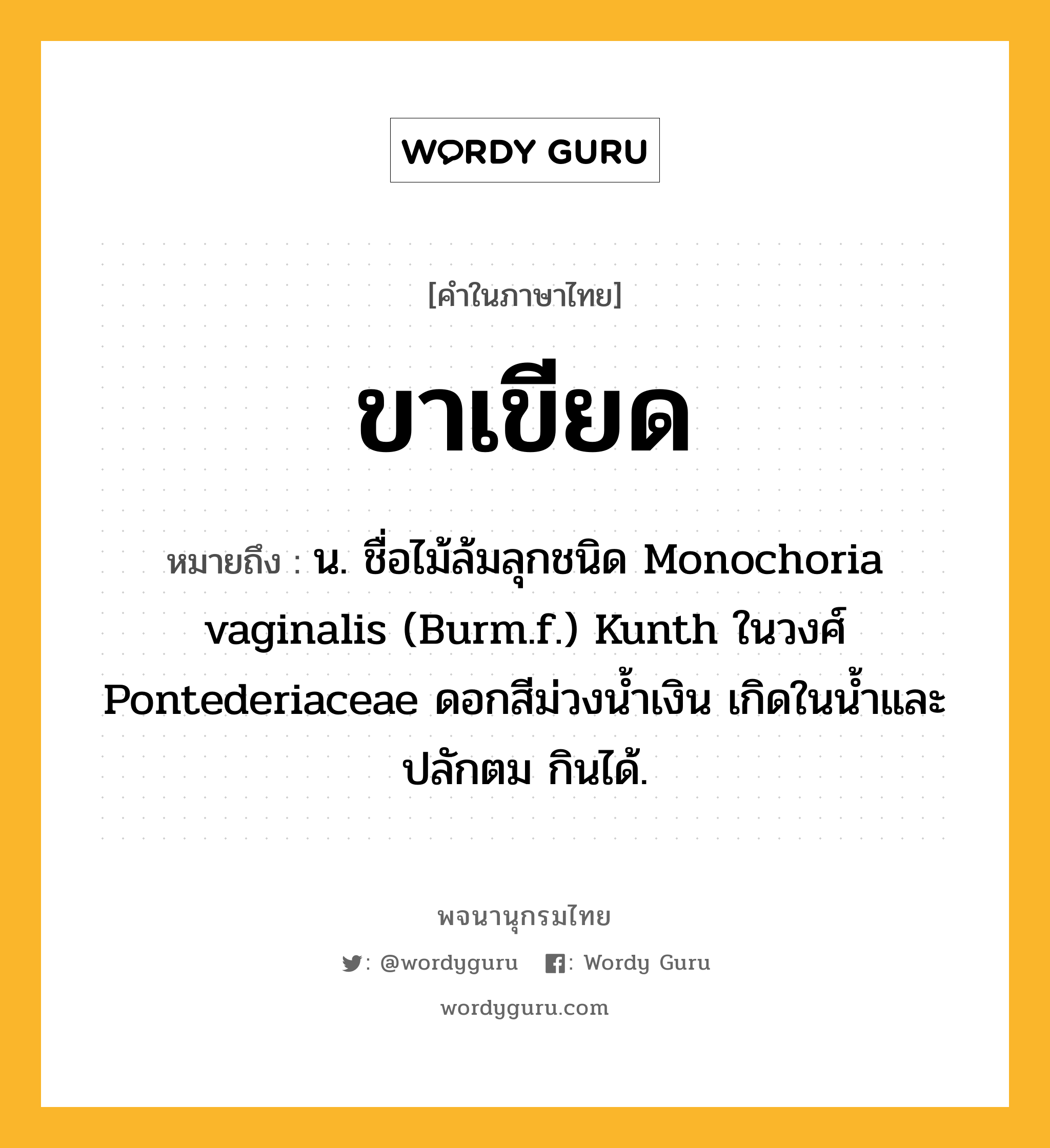 ขาเขียด หมายถึงอะไร?, คำในภาษาไทย ขาเขียด หมายถึง น. ชื่อไม้ล้มลุกชนิด Monochoria vaginalis (Burm.f.) Kunth ในวงศ์ Pontederiaceae ดอกสีม่วงนํ้าเงิน เกิดในนํ้าและปลักตม กินได้.