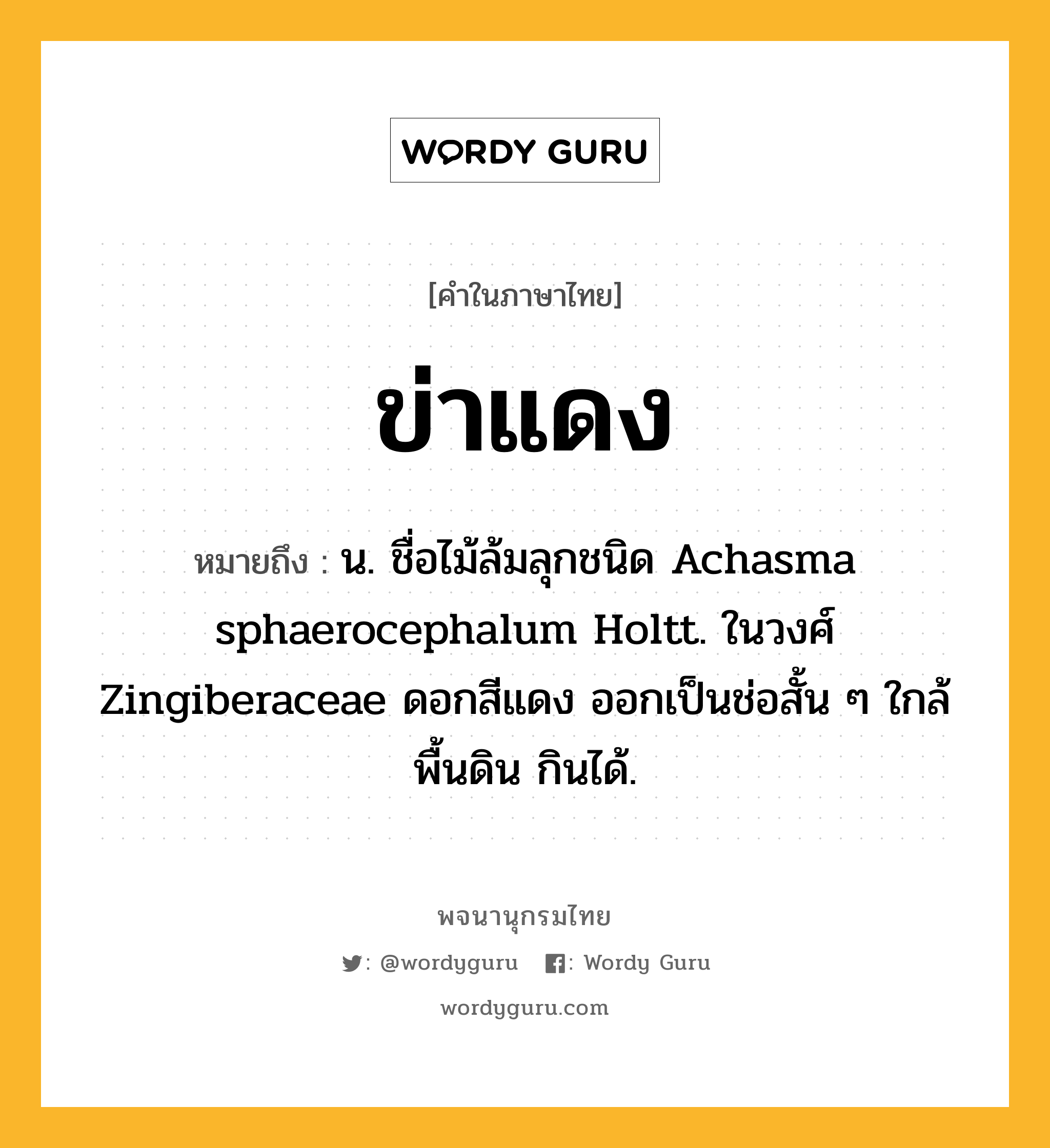 ข่าแดง ความหมาย หมายถึงอะไร?, คำในภาษาไทย ข่าแดง หมายถึง น. ชื่อไม้ล้มลุกชนิด Achasma sphaerocephalum Holtt. ในวงศ์ Zingiberaceae ดอกสีแดง ออกเป็นช่อสั้น ๆ ใกล้พื้นดิน กินได้.