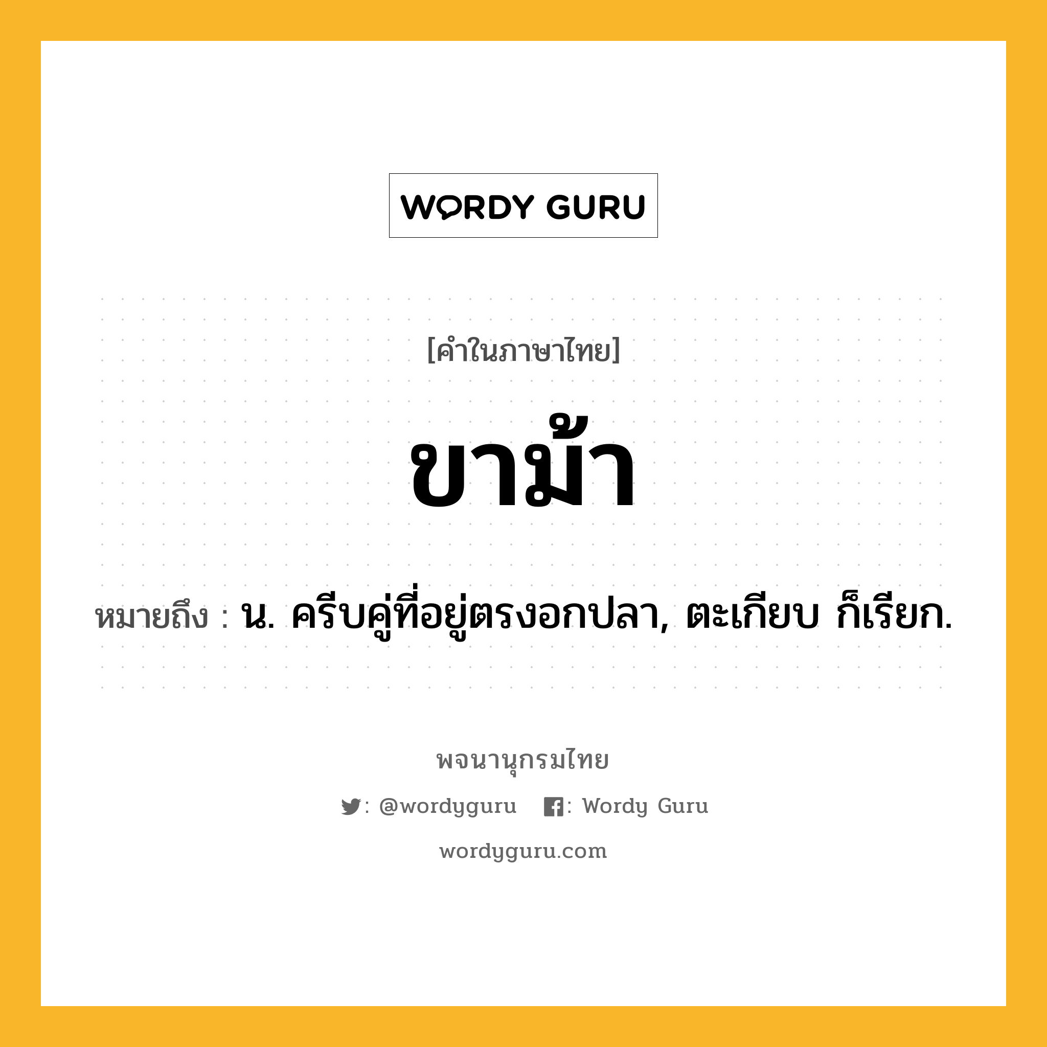 ขาม้า หมายถึงอะไร?, คำในภาษาไทย ขาม้า หมายถึง น. ครีบคู่ที่อยู่ตรงอกปลา, ตะเกียบ ก็เรียก.