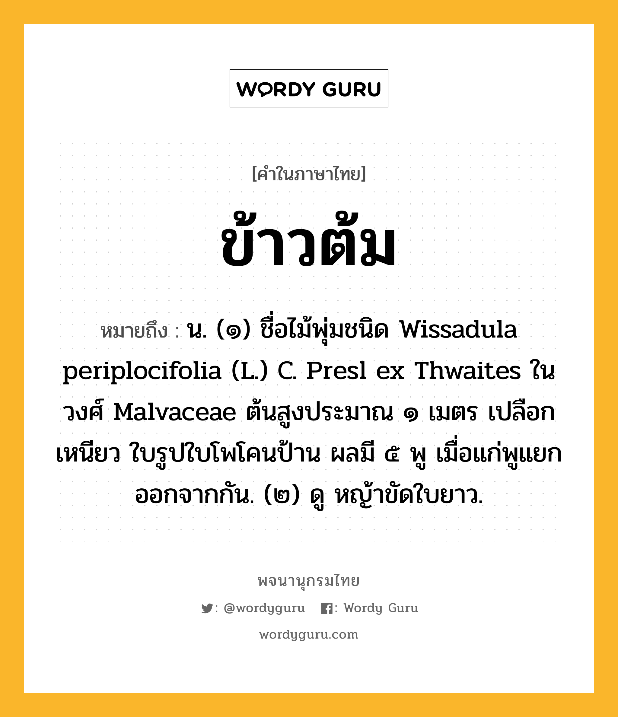 ข้าวต้ม หมายถึงอะไร?, คำในภาษาไทย ข้าวต้ม หมายถึง น. (๑) ชื่อไม้พุ่มชนิด Wissadula periplocifolia (L.) C. Presl ex Thwaites ในวงศ์ Malvaceae ต้นสูงประมาณ ๑ เมตร เปลือกเหนียว ใบรูปใบโพโคนป้าน ผลมี ๕ พู เมื่อแก่พูแยกออกจากกัน. (๒) ดู หญ้าขัดใบยาว.