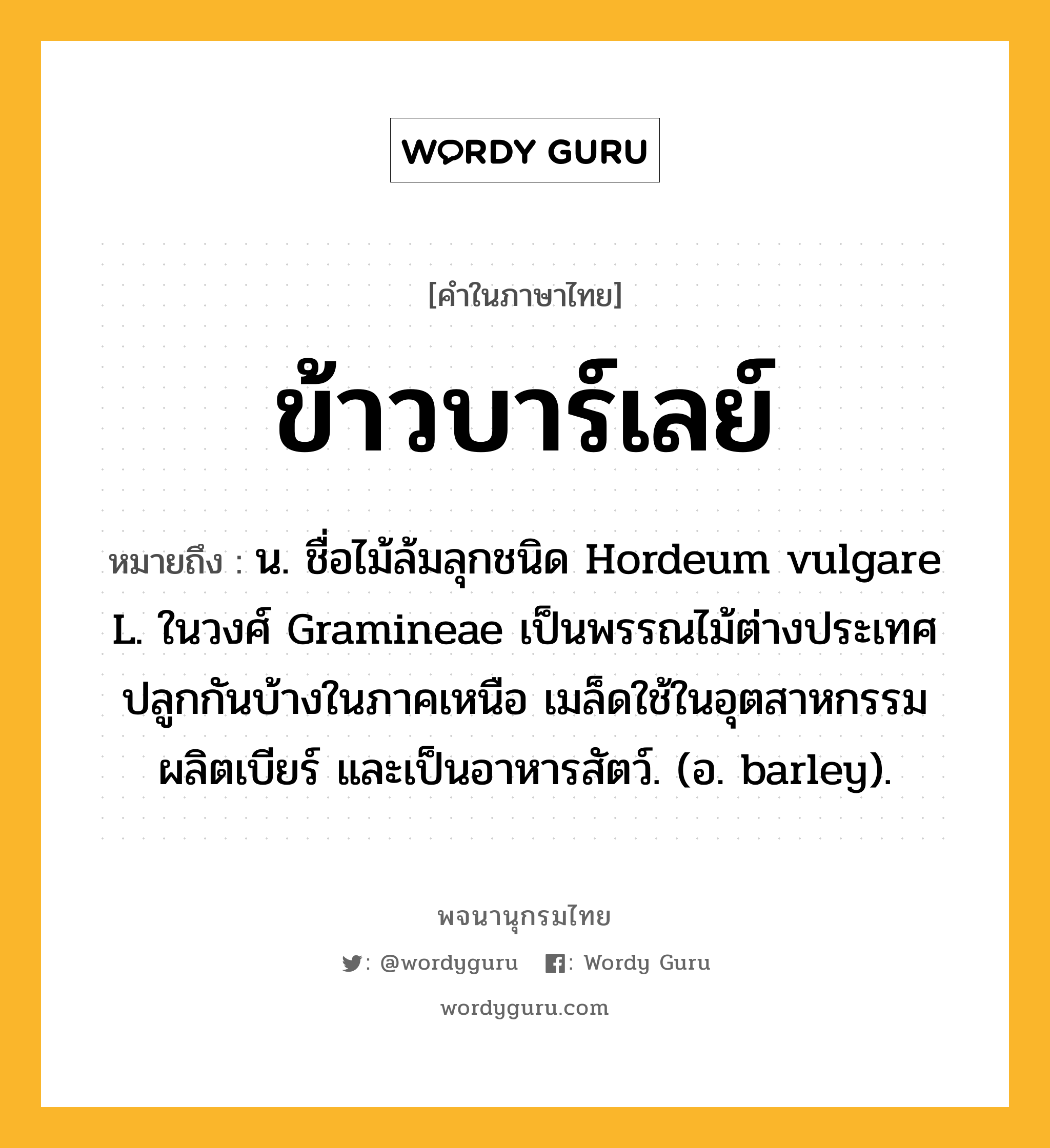 ข้าวบาร์เลย์ หมายถึงอะไร?, คำในภาษาไทย ข้าวบาร์เลย์ หมายถึง น. ชื่อไม้ล้มลุกชนิด Hordeum vulgare L. ในวงศ์ Gramineae เป็นพรรณไม้ต่างประเทศ ปลูกกันบ้างในภาคเหนือ เมล็ดใช้ในอุตสาหกรรมผลิตเบียร์ และเป็นอาหารสัตว์. (อ. barley).