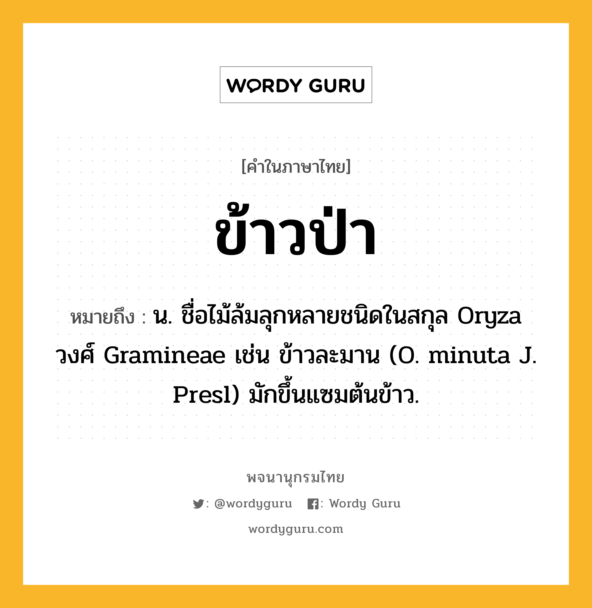 ข้าวป่า หมายถึงอะไร?, คำในภาษาไทย ข้าวป่า หมายถึง น. ชื่อไม้ล้มลุกหลายชนิดในสกุล Oryza วงศ์ Gramineae เช่น ข้าวละมาน (O. minuta J. Presl) มักขึ้นแซมต้นข้าว.