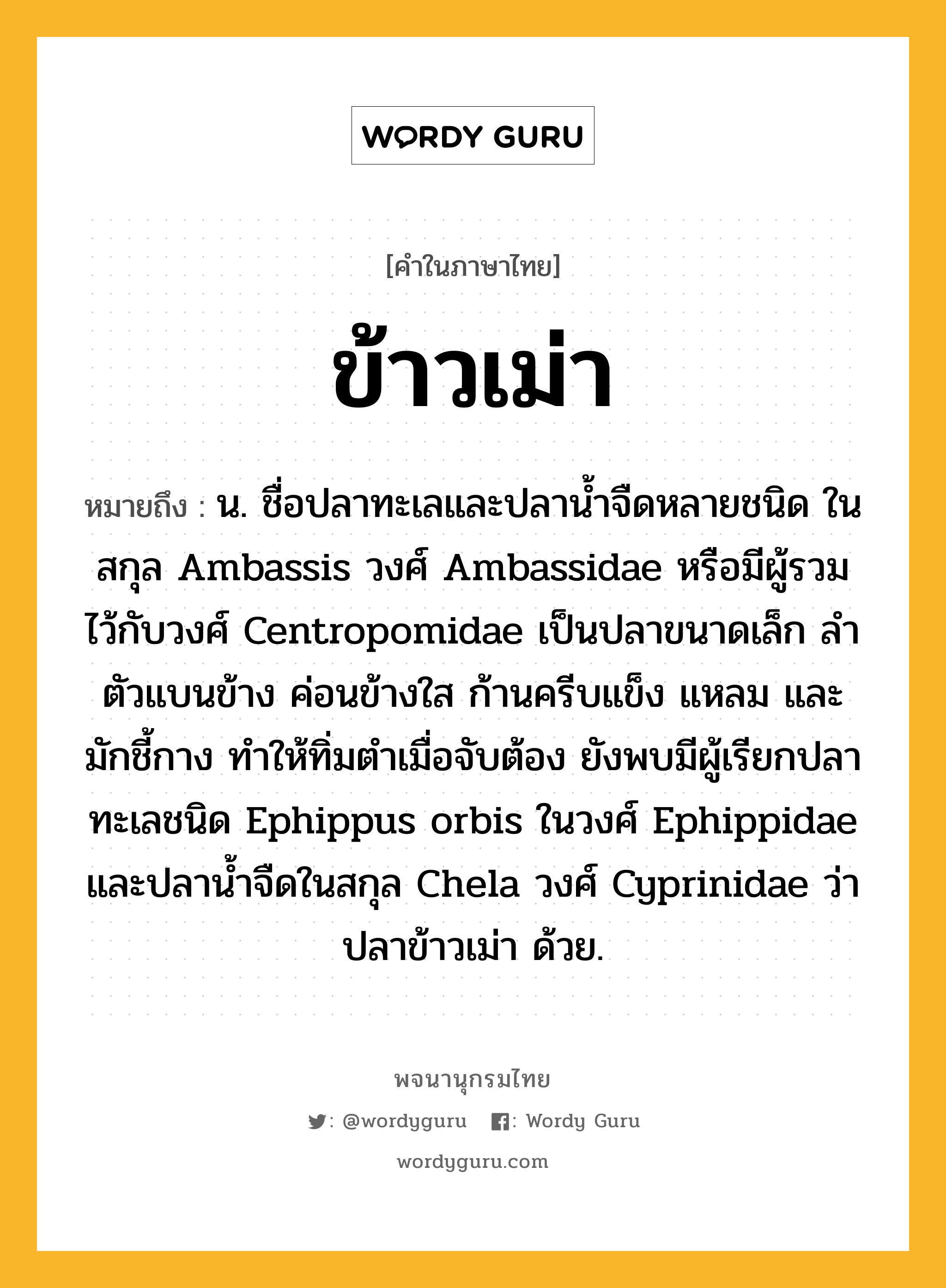 ข้าวเม่า ความหมาย หมายถึงอะไร?, คำในภาษาไทย ข้าวเม่า หมายถึง น. ชื่อปลาทะเลและปลานํ้าจืดหลายชนิด ในสกุล Ambassis วงศ์ Ambassidae หรือมีผู้รวมไว้กับวงศ์ Centropomidae เป็นปลาขนาดเล็ก ลําตัวแบนข้าง ค่อนข้างใส ก้านครีบแข็ง แหลม และมักชี้กาง ทําให้ทิ่มตําเมื่อจับต้อง ยังพบมีผู้เรียกปลาทะเลชนิด Ephippus orbis ในวงศ์ Ephippidae และปลานํ้าจืดในสกุล Chela วงศ์ Cyprinidae ว่า ปลาข้าวเม่า ด้วย.