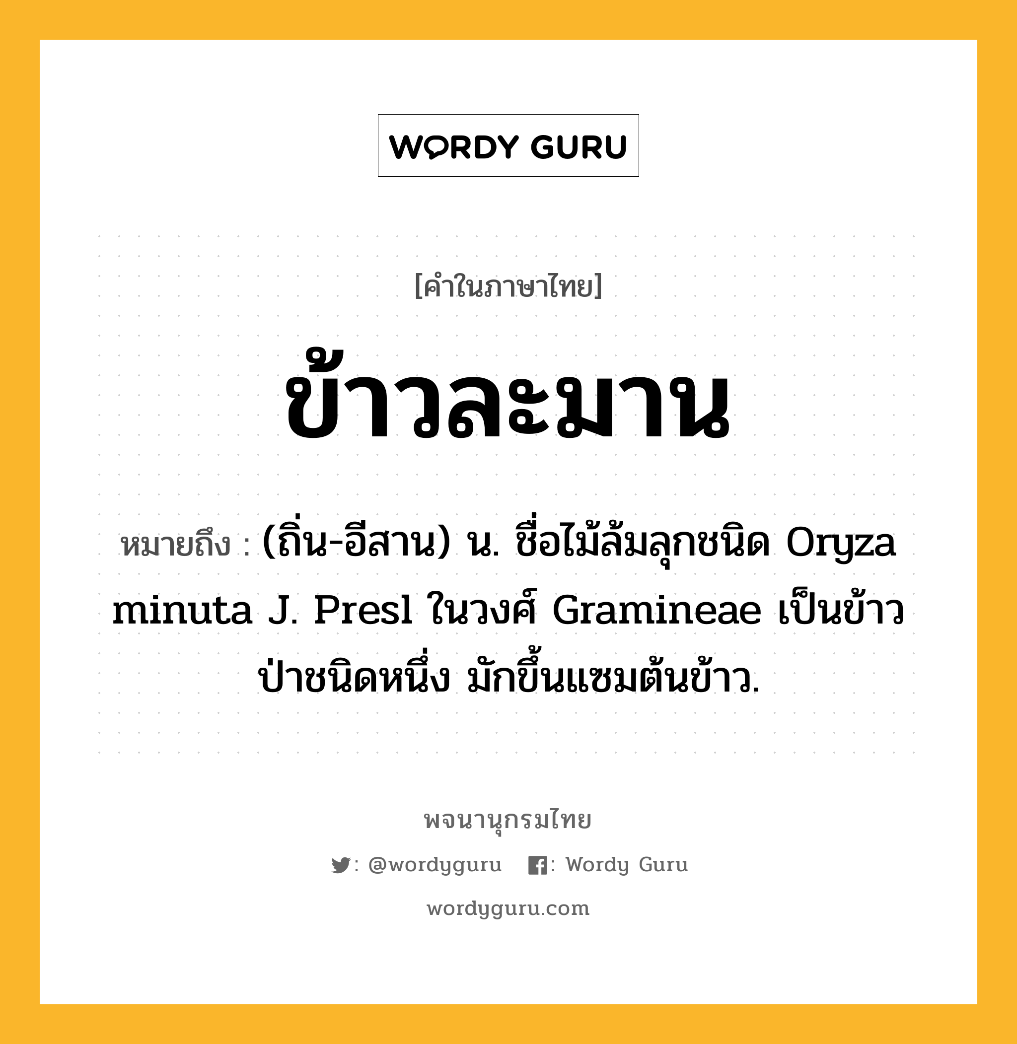 ข้าวละมาน หมายถึงอะไร?, คำในภาษาไทย ข้าวละมาน หมายถึง (ถิ่น-อีสาน) น. ชื่อไม้ล้มลุกชนิด Oryza minuta J. Presl ในวงศ์ Gramineae เป็นข้าวป่าชนิดหนึ่ง มักขึ้นแซมต้นข้าว.