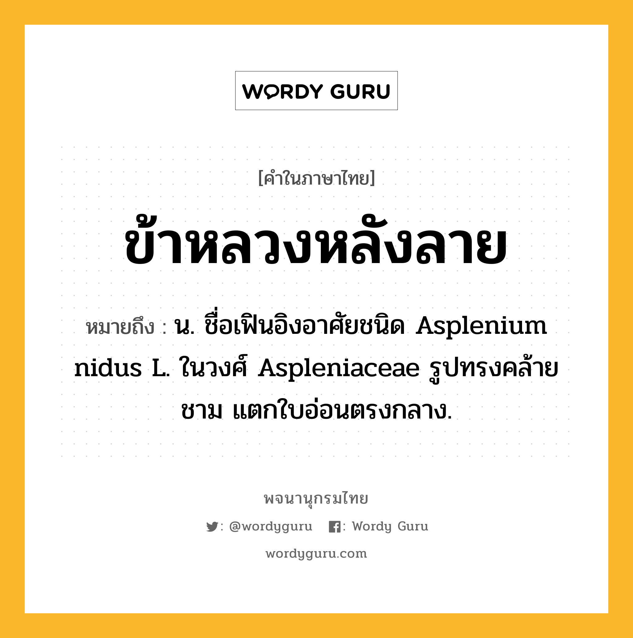 ข้าหลวงหลังลาย ความหมาย หมายถึงอะไร?, คำในภาษาไทย ข้าหลวงหลังลาย หมายถึง น. ชื่อเฟินอิงอาศัยชนิด Asplenium nidus L. ในวงศ์ Aspleniaceae รูปทรงคล้ายชาม แตกใบอ่อนตรงกลาง.