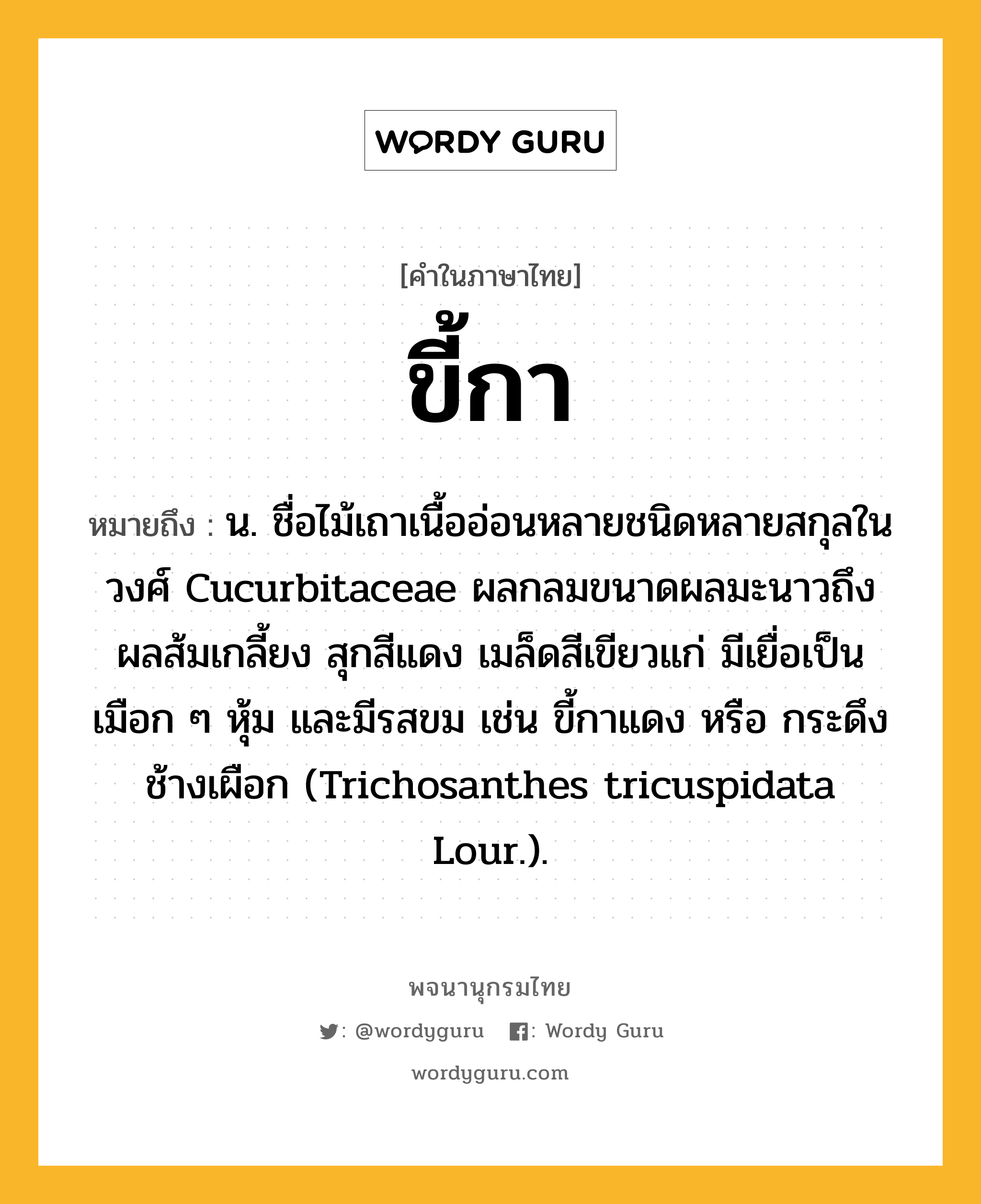 ขี้กา ความหมาย หมายถึงอะไร?, คำในภาษาไทย ขี้กา หมายถึง น. ชื่อไม้เถาเนื้ออ่อนหลายชนิดหลายสกุลในวงศ์ Cucurbitaceae ผลกลมขนาดผลมะนาวถึงผลส้มเกลี้ยง สุกสีแดง เมล็ดสีเขียวแก่ มีเยื่อเป็นเมือก ๆ หุ้ม และมีรสขม เช่น ขี้กาแดง หรือ กระดึงช้างเผือก (Trichosanthes tricuspidata Lour.).