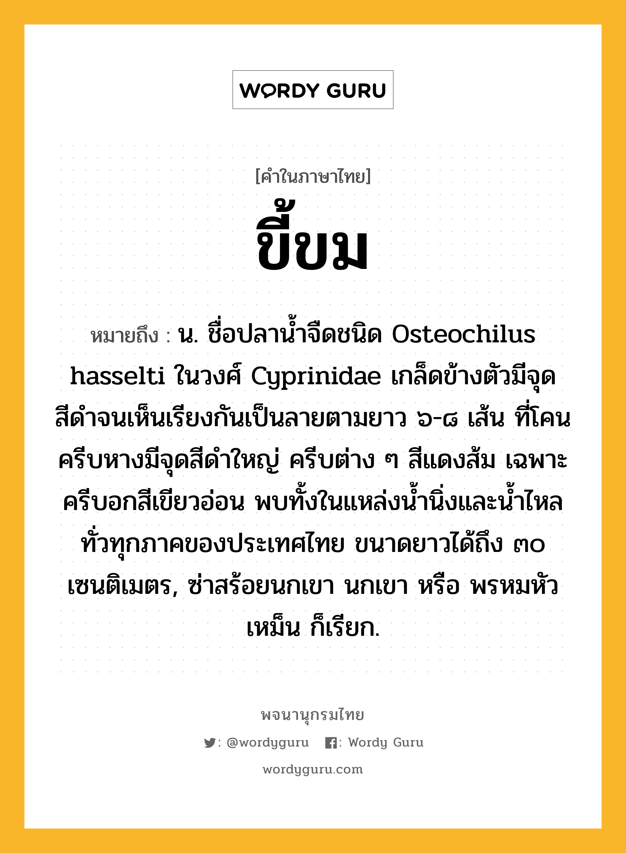 ขี้ขม หมายถึงอะไร?, คำในภาษาไทย ขี้ขม หมายถึง น. ชื่อปลานํ้าจืดชนิด Osteochilus hasselti ในวงศ์ Cyprinidae เกล็ดข้างตัวมีจุดสีดําจนเห็นเรียงกันเป็นลายตามยาว ๖-๘ เส้น ที่โคนครีบหางมีจุดสีดําใหญ่ ครีบต่าง ๆ สีแดงส้ม เฉพาะครีบอกสีเขียวอ่อน พบทั้งในแหล่งนํ้านิ่งและนํ้าไหลทั่วทุกภาคของประเทศไทย ขนาดยาวได้ถึง ๓๐ เซนติเมตร, ซ่าสร้อยนกเขา นกเขา หรือ พรหมหัวเหม็น ก็เรียก.