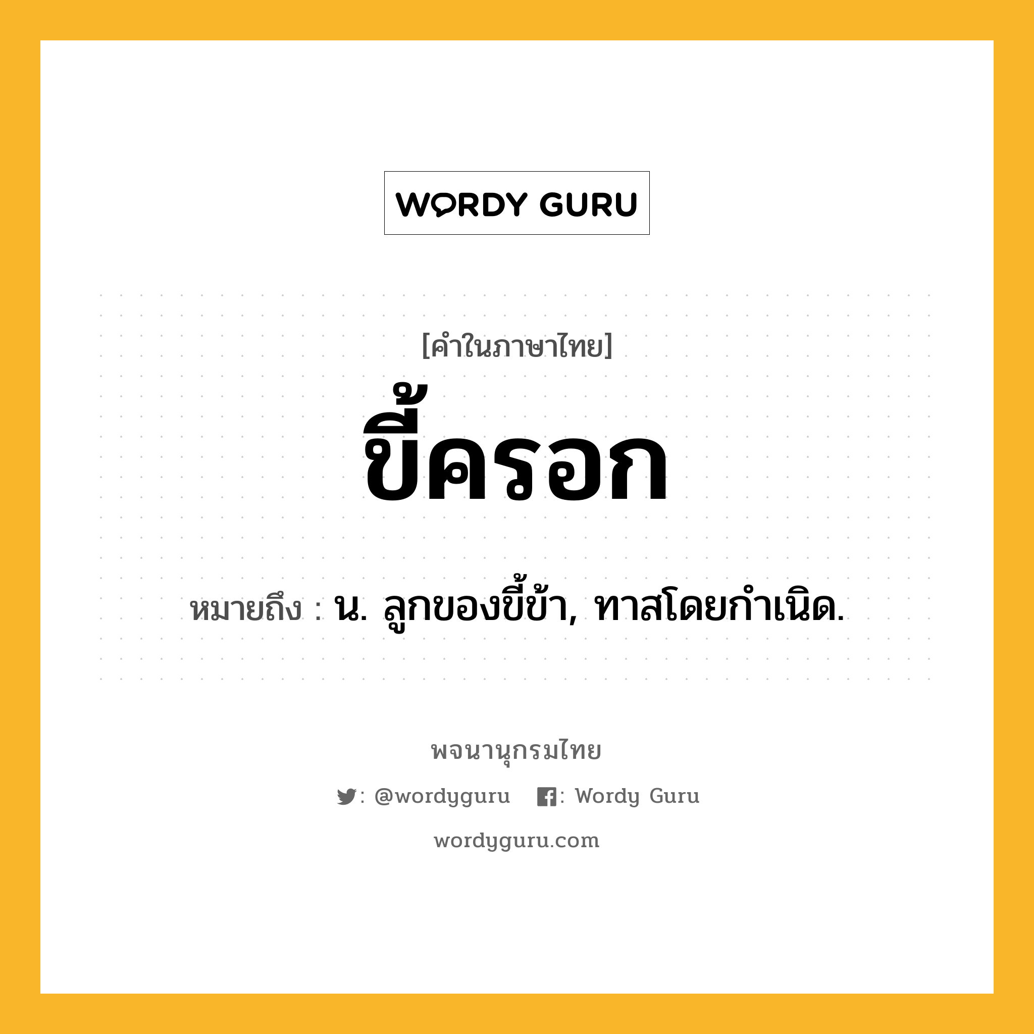 ขี้ครอก หมายถึงอะไร?, คำในภาษาไทย ขี้ครอก หมายถึง น. ลูกของขี้ข้า, ทาสโดยกําเนิด.