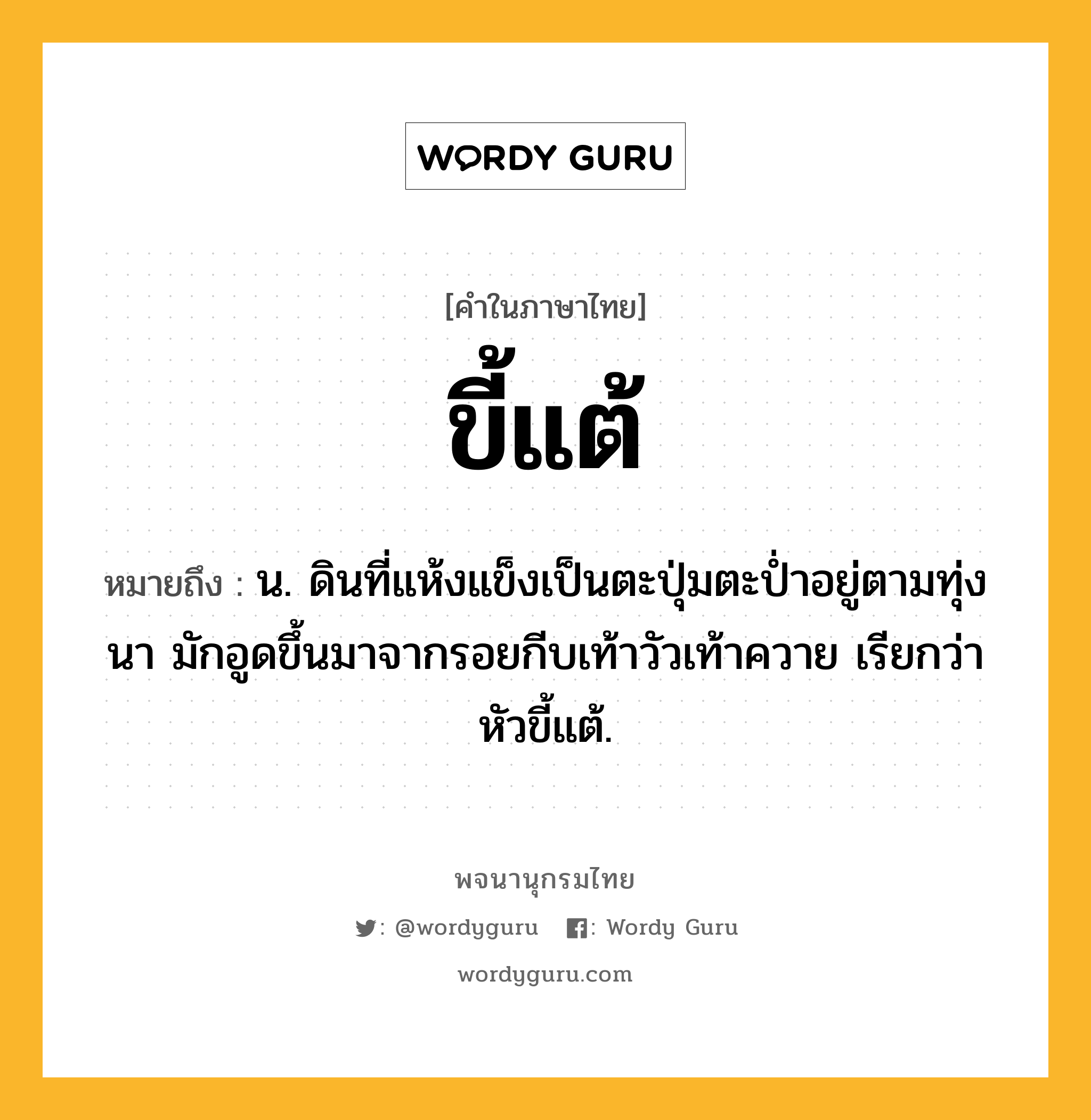 ขี้แต้ หมายถึงอะไร?, คำในภาษาไทย ขี้แต้ หมายถึง น. ดินที่แห้งแข็งเป็นตะปุ่มตะป่ำอยู่ตามทุ่งนา มักอูดขึ้นมาจากรอยกีบเท้าวัวเท้าควาย เรียกว่า หัวขี้แต้.