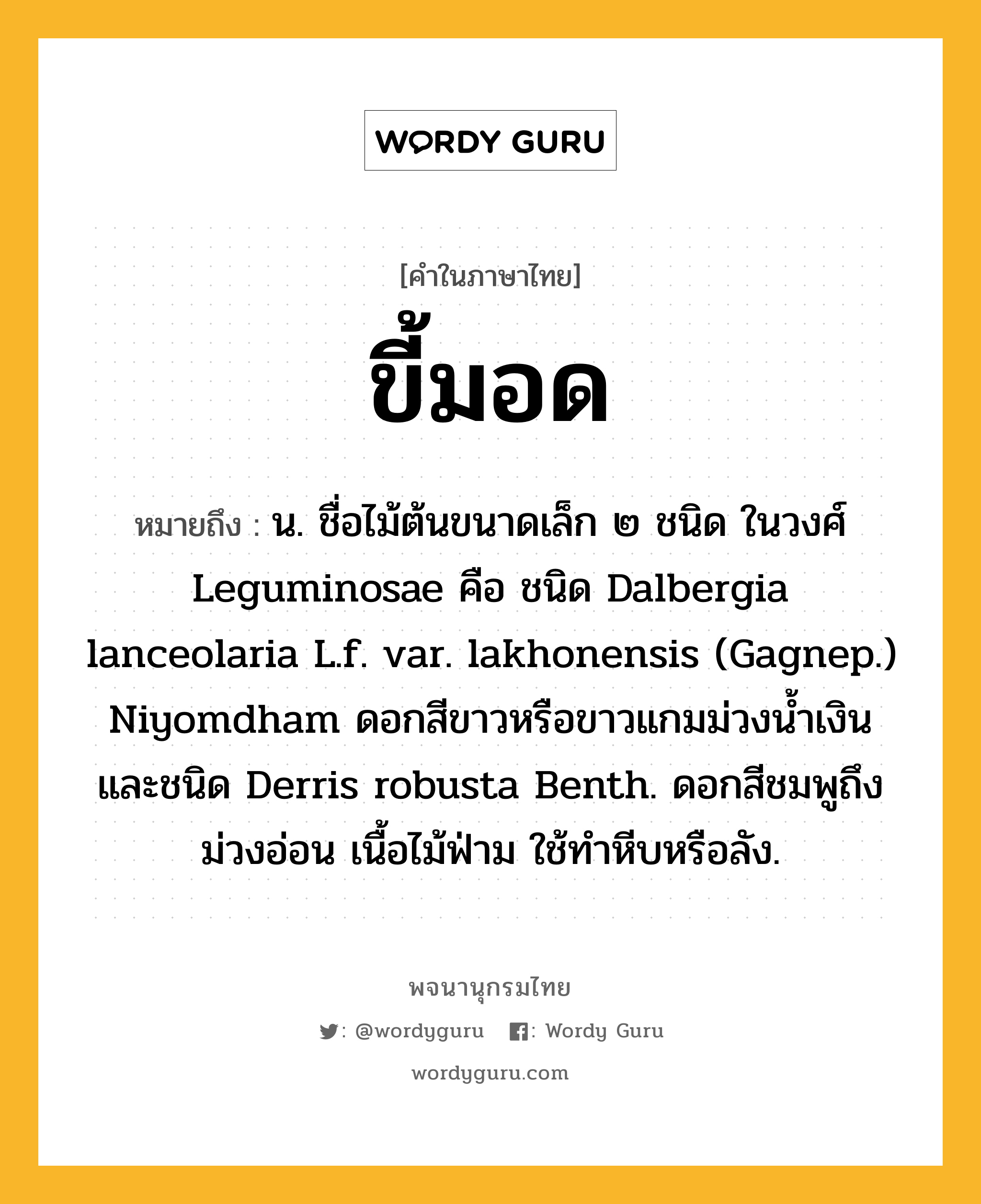 ขี้มอด หมายถึงอะไร?, คำในภาษาไทย ขี้มอด หมายถึง น. ชื่อไม้ต้นขนาดเล็ก ๒ ชนิด ในวงศ์ Leguminosae คือ ชนิด Dalbergia lanceolaria L.f. var. lakhonensis (Gagnep.) Niyomdham ดอกสีขาวหรือขาวแกมม่วงน้ำเงิน และชนิด Derris robusta Benth. ดอกสีชมพูถึงม่วงอ่อน เนื้อไม้ฟ่าม ใช้ทําหีบหรือลัง.