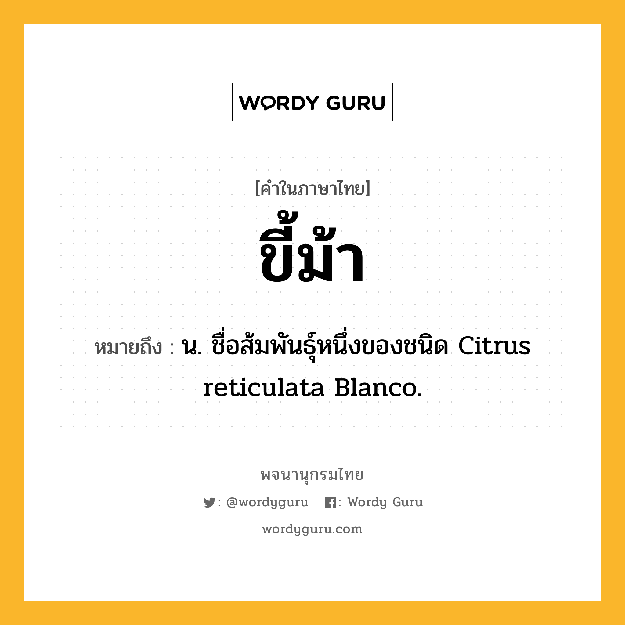 ขี้ม้า หมายถึงอะไร?, คำในภาษาไทย ขี้ม้า หมายถึง น. ชื่อส้มพันธุ์หนึ่งของชนิด Citrus reticulata Blanco.