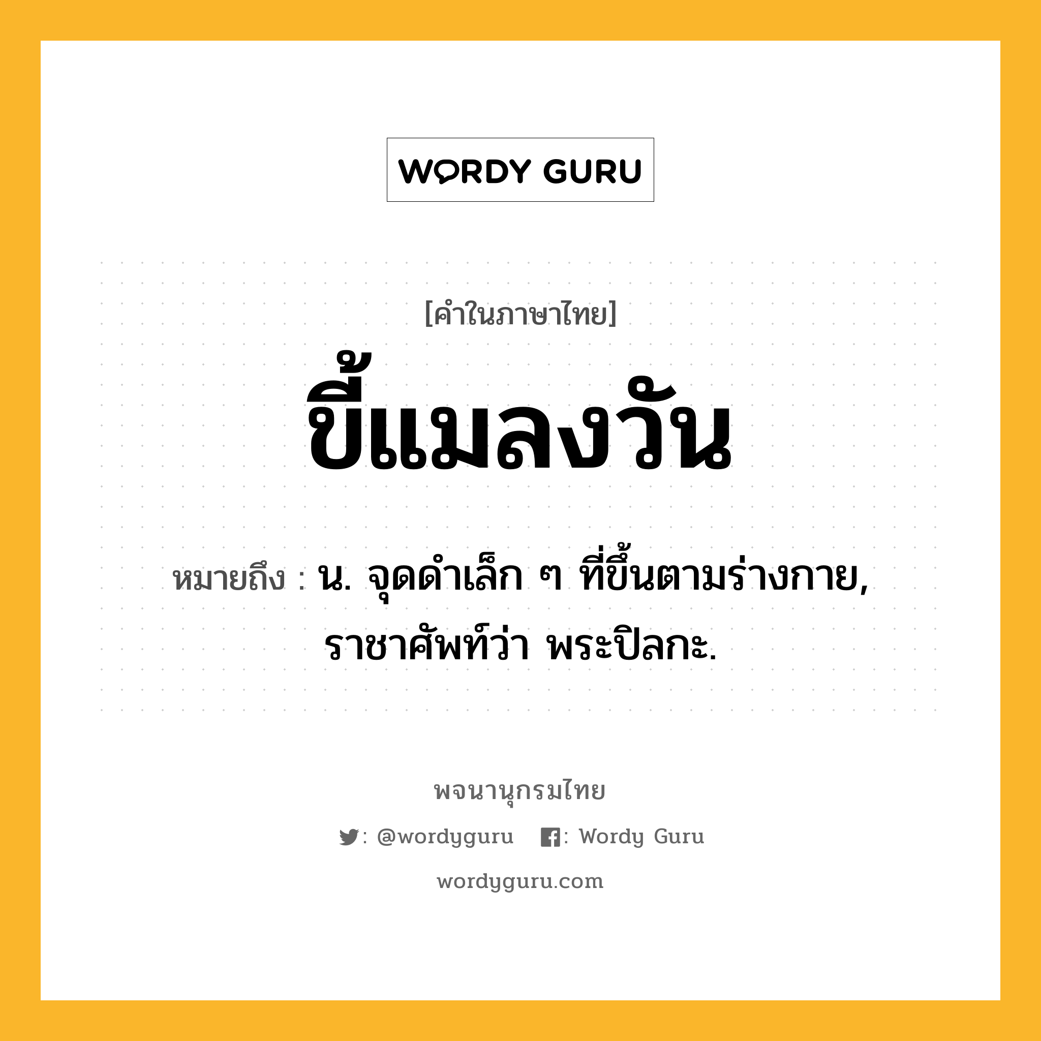 ขี้แมลงวัน ความหมาย หมายถึงอะไร?, คำในภาษาไทย ขี้แมลงวัน หมายถึง น. จุดดําเล็ก ๆ ที่ขึ้นตามร่างกาย, ราชาศัพท์ว่า พระปิลกะ.