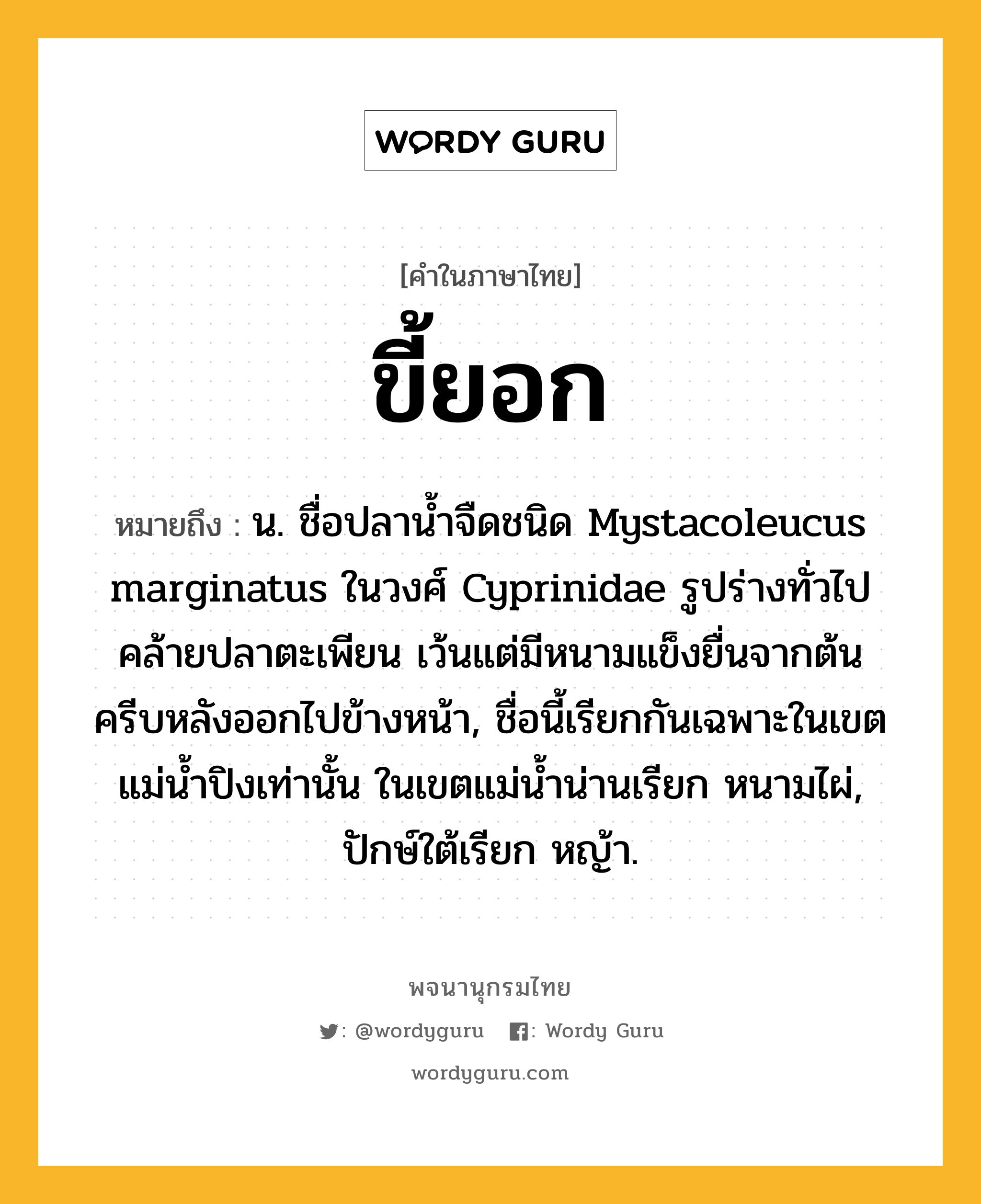 ขี้ยอก หมายถึงอะไร?, คำในภาษาไทย ขี้ยอก หมายถึง น. ชื่อปลานํ้าจืดชนิด Mystacoleucus marginatus ในวงศ์ Cyprinidae รูปร่างทั่วไปคล้ายปลาตะเพียน เว้นแต่มีหนามแข็งยื่นจากต้นครีบหลังออกไปข้างหน้า, ชื่อนี้เรียกกันเฉพาะในเขตแม่นํ้าปิงเท่านั้น ในเขตแม่นํ้าน่านเรียก หนามไผ่, ปักษ์ใต้เรียก หญ้า.