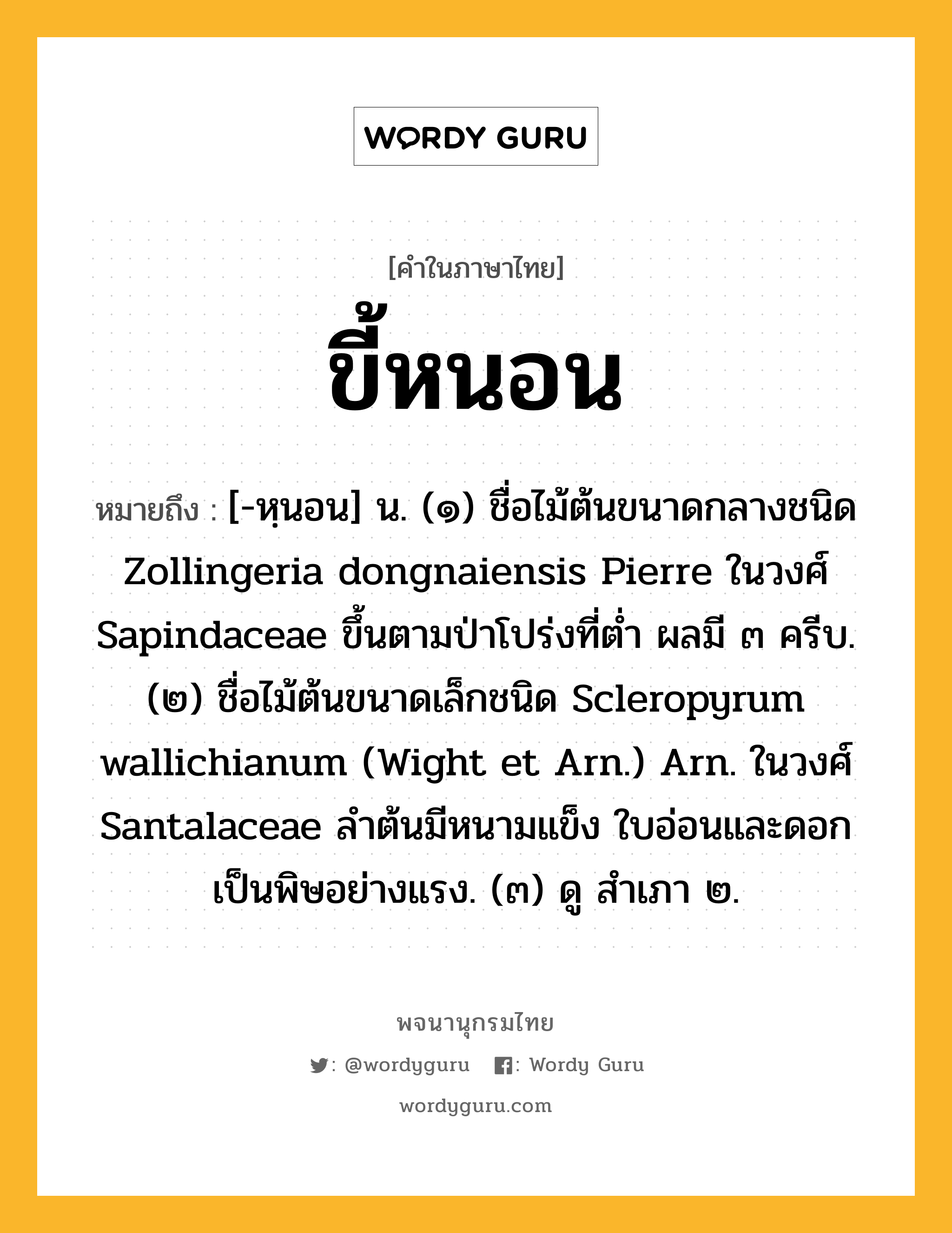 ขี้หนอน หมายถึงอะไร?, คำในภาษาไทย ขี้หนอน หมายถึง [-หฺนอน] น. (๑) ชื่อไม้ต้นขนาดกลางชนิด Zollingeria dongnaiensis Pierre ในวงศ์ Sapindaceae ขึ้นตามป่าโปร่งที่ตํ่า ผลมี ๓ ครีบ. (๒) ชื่อไม้ต้นขนาดเล็กชนิด Scleropyrum wallichianum (Wight et Arn.) Arn. ในวงศ์ Santalaceae ลําต้นมีหนามแข็ง ใบอ่อนและดอกเป็นพิษอย่างแรง. (๓) ดู สําเภา ๒.