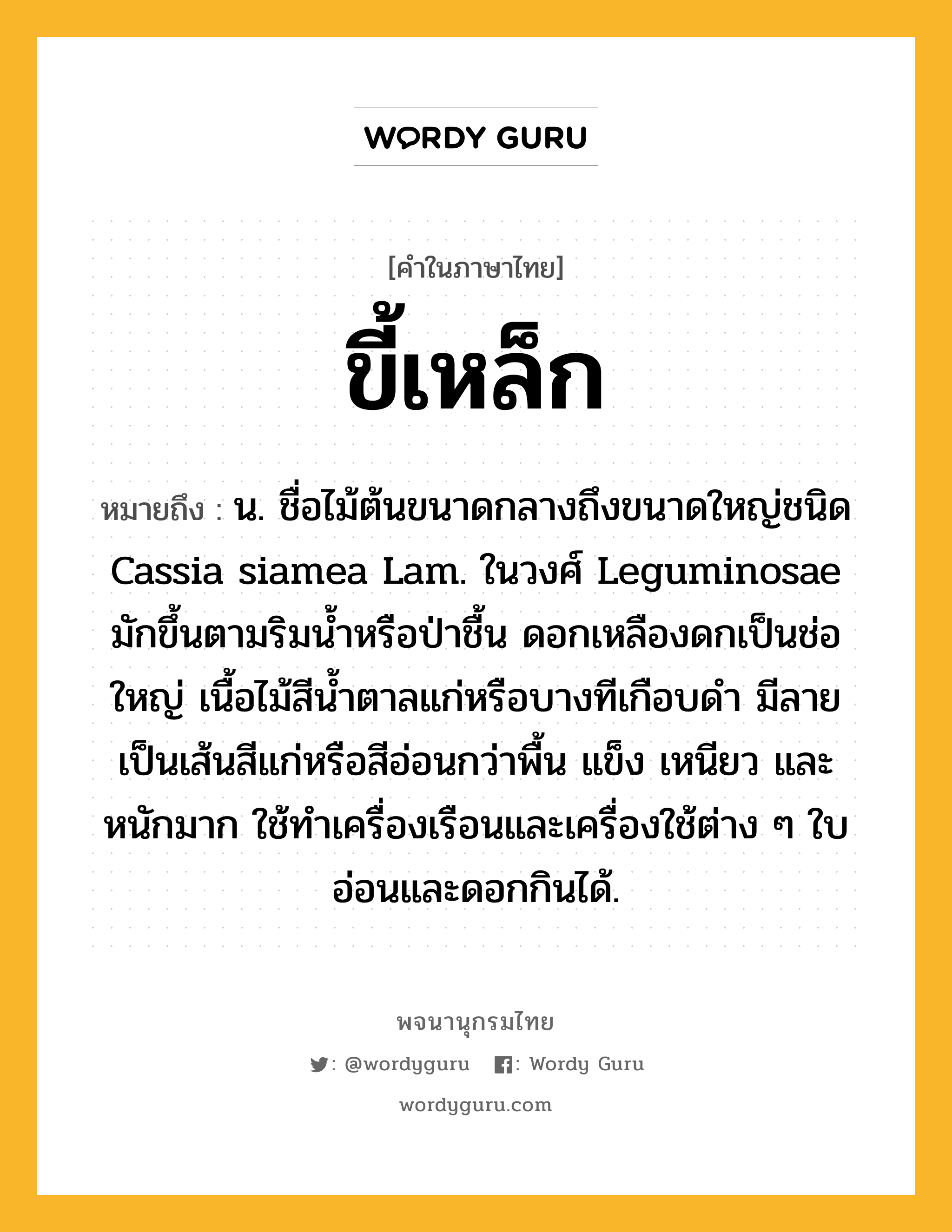 ขี้เหล็ก หมายถึงอะไร?, คำในภาษาไทย ขี้เหล็ก หมายถึง น. ชื่อไม้ต้นขนาดกลางถึงขนาดใหญ่ชนิด Cassia siamea Lam. ในวงศ์ Leguminosae มักขึ้นตามริมนํ้าหรือป่าชื้น ดอกเหลืองดกเป็นช่อใหญ่ เนื้อไม้สีนํ้าตาลแก่หรือบางทีเกือบดํา มีลายเป็นเส้นสีแก่หรือสีอ่อนกว่าพื้น แข็ง เหนียว และหนักมาก ใช้ทําเครื่องเรือนและเครื่องใช้ต่าง ๆ ใบอ่อนและดอกกินได้.