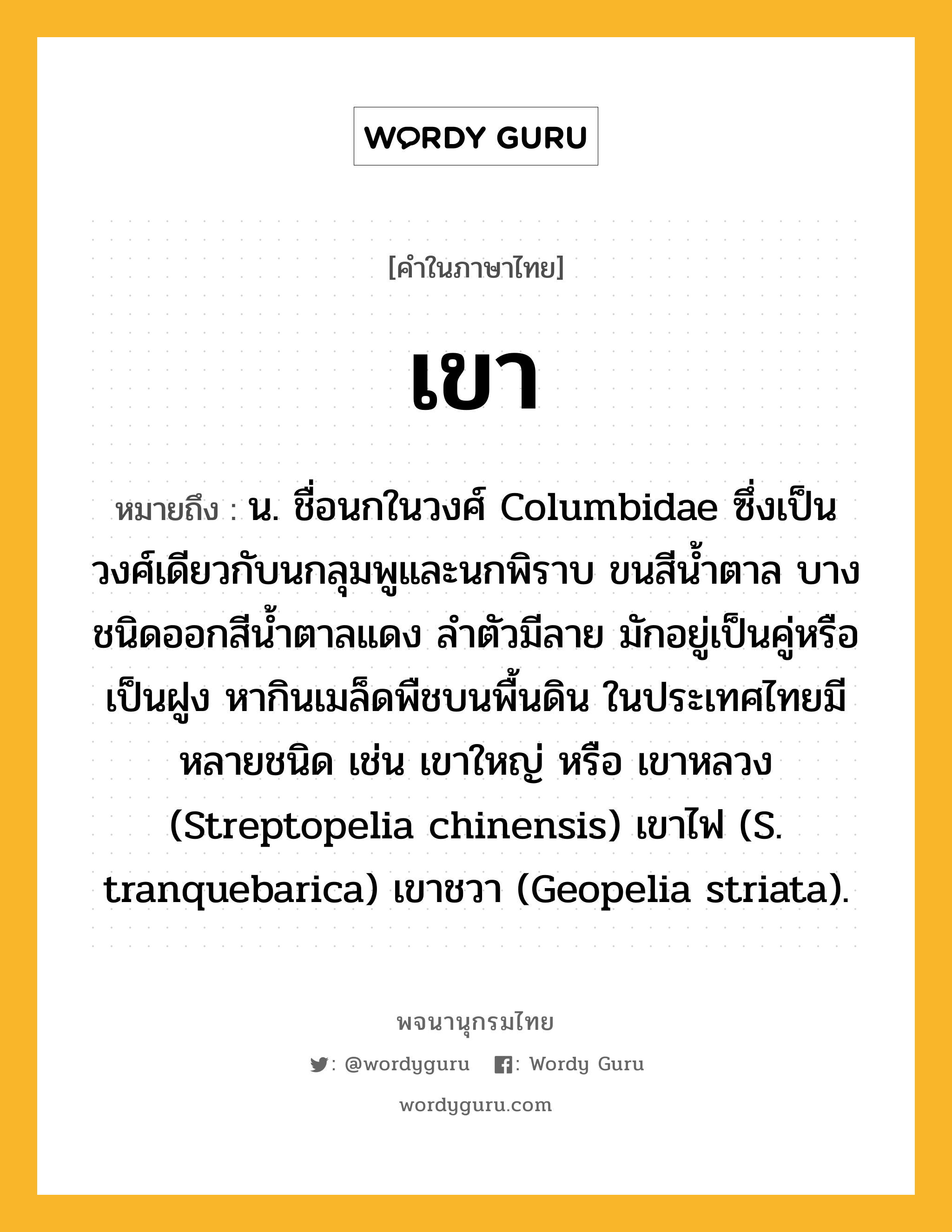 เขา หมายถึงอะไร?, คำในภาษาไทย เขา หมายถึง น. ชื่อนกในวงศ์ Columbidae ซึ่งเป็นวงศ์เดียวกับนกลุมพูและนกพิราบ ขนสีนํ้าตาล บางชนิดออกสีนํ้าตาลแดง ลําตัวมีลาย มักอยู่เป็นคู่หรือเป็นฝูง หากินเมล็ดพืชบนพื้นดิน ในประเทศไทยมีหลายชนิด เช่น เขาใหญ่ หรือ เขาหลวง (Streptopelia chinensis) เขาไฟ (S. tranquebarica) เขาชวา (Geopelia striata).