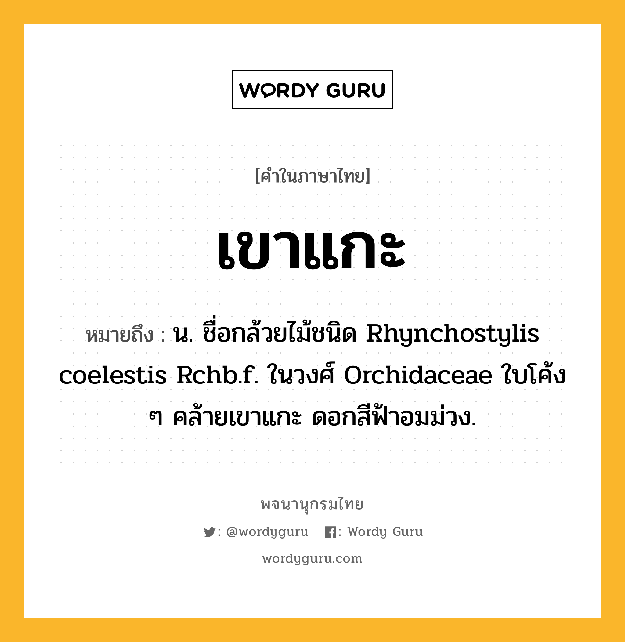 เขาแกะ หมายถึงอะไร?, คำในภาษาไทย เขาแกะ หมายถึง น. ชื่อกล้วยไม้ชนิด Rhynchostylis coelestis Rchb.f. ในวงศ์ Orchidaceae ใบโค้ง ๆ คล้ายเขาแกะ ดอกสีฟ้าอมม่วง.