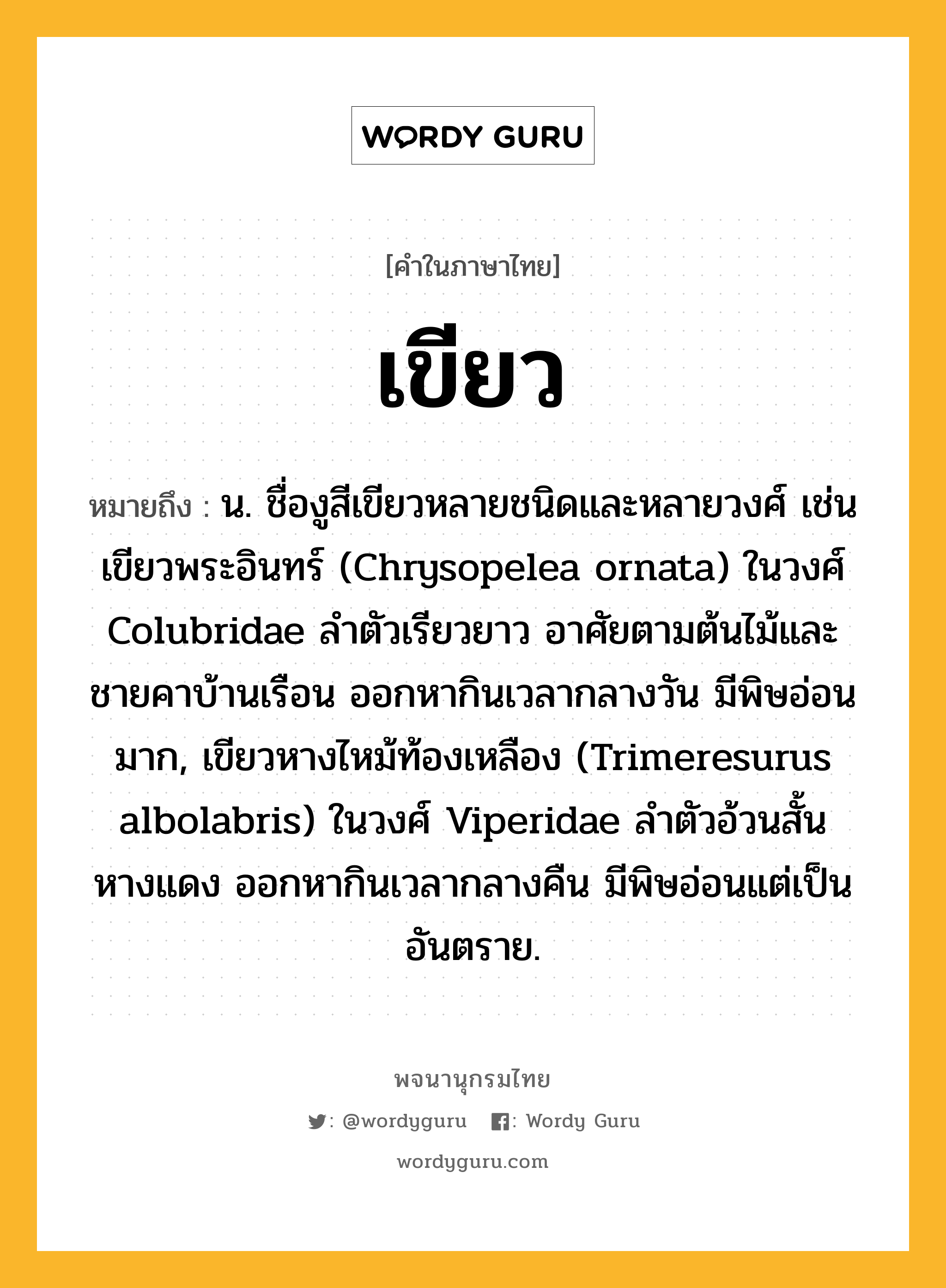 เขียว หมายถึงอะไร?, คำในภาษาไทย เขียว หมายถึง น. ชื่องูสีเขียวหลายชนิดและหลายวงศ์ เช่น เขียวพระอินทร์ (Chrysopelea ornata) ในวงศ์ Colubridae ลําตัวเรียวยาว อาศัยตามต้นไม้และชายคาบ้านเรือน ออกหากินเวลากลางวัน มีพิษอ่อนมาก, เขียวหางไหม้ท้องเหลือง (Trimeresurus albolabris) ในวงศ์ Viperidae ลําตัวอ้วนสั้น หางแดง ออกหากินเวลากลางคืน มีพิษอ่อนแต่เป็นอันตราย.