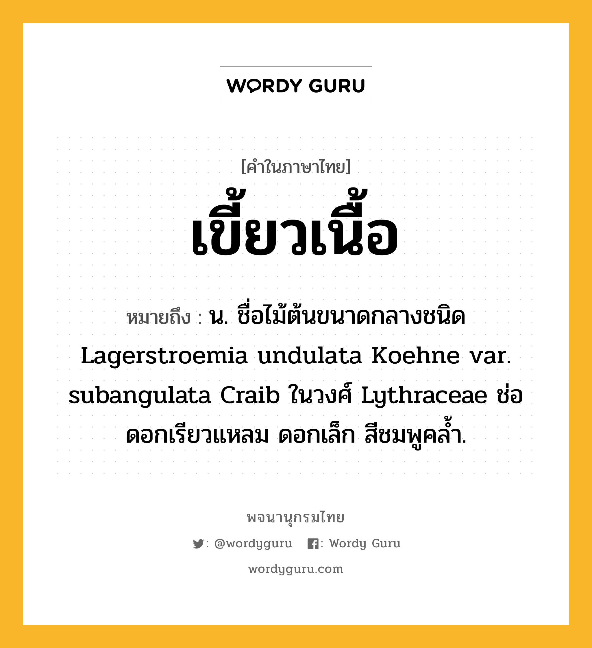 เขี้ยวเนื้อ หมายถึงอะไร?, คำในภาษาไทย เขี้ยวเนื้อ หมายถึง น. ชื่อไม้ต้นขนาดกลางชนิด Lagerstroemia undulata Koehne var. subangulata Craib ในวงศ์ Lythraceae ช่อดอกเรียวแหลม ดอกเล็ก สีชมพูคล้ำ.